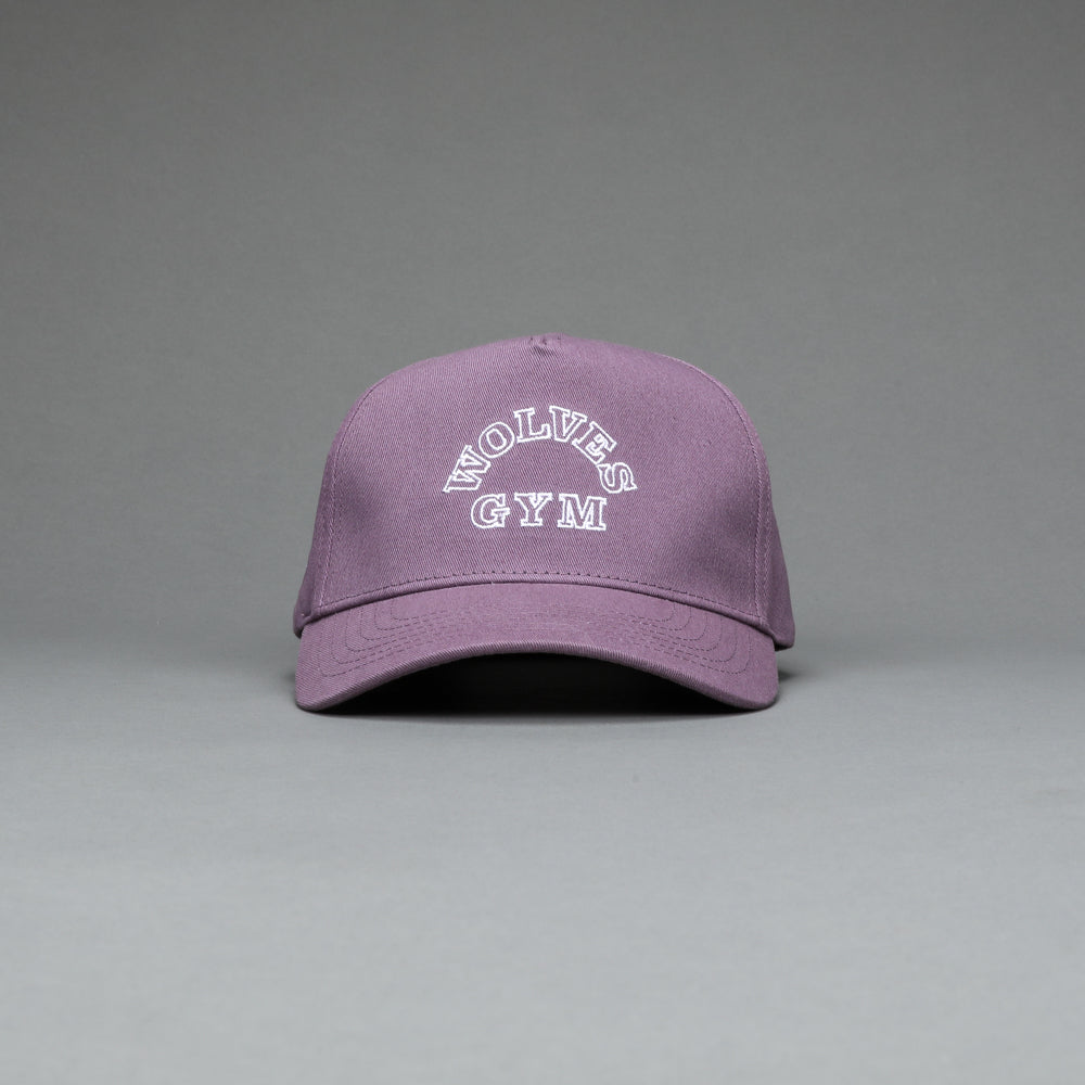 Wolves Gym 5 Panel Hat in LA Purple – DarcSport