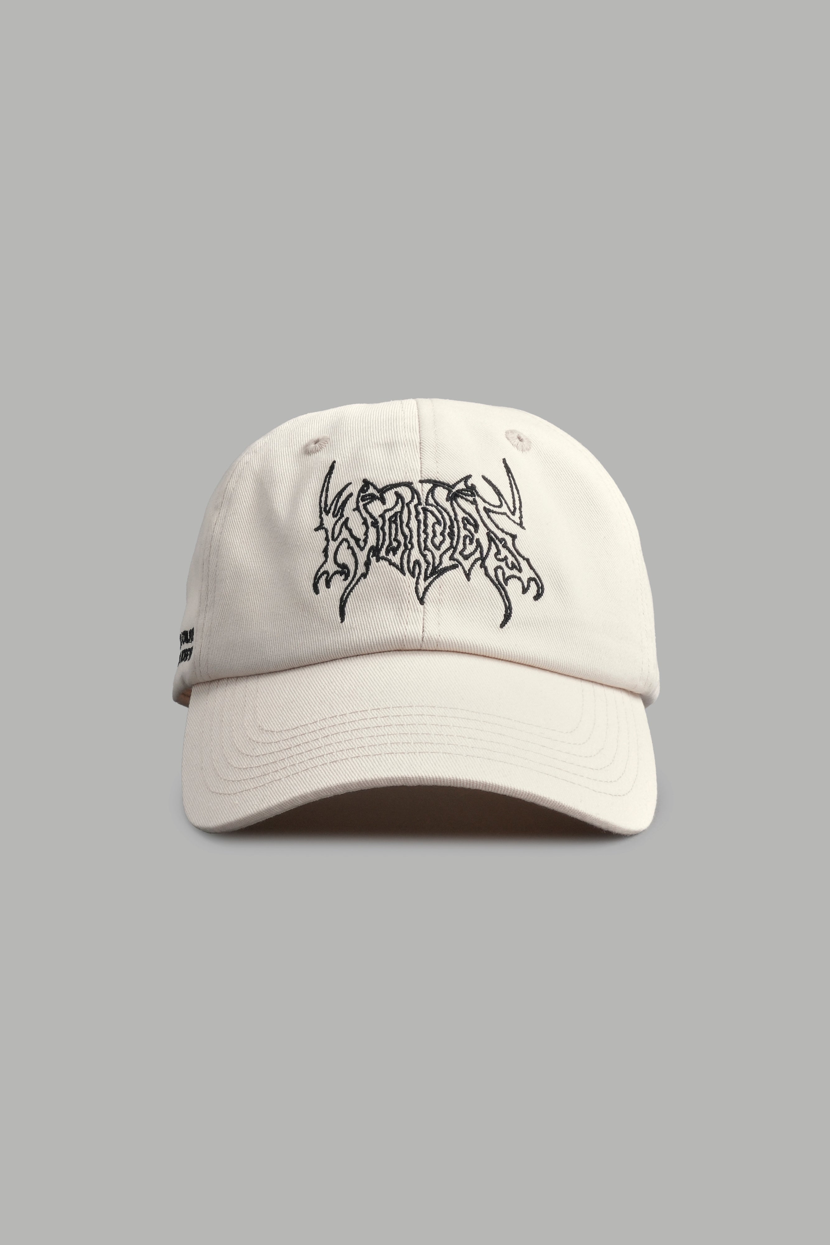 Our Path Dad Hat V2 in Cream