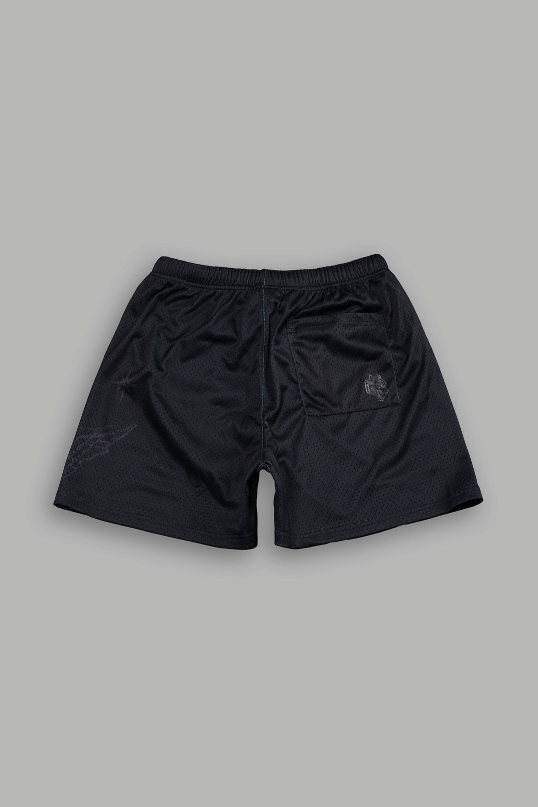 Sacred Flash Mesh Shorts in Black