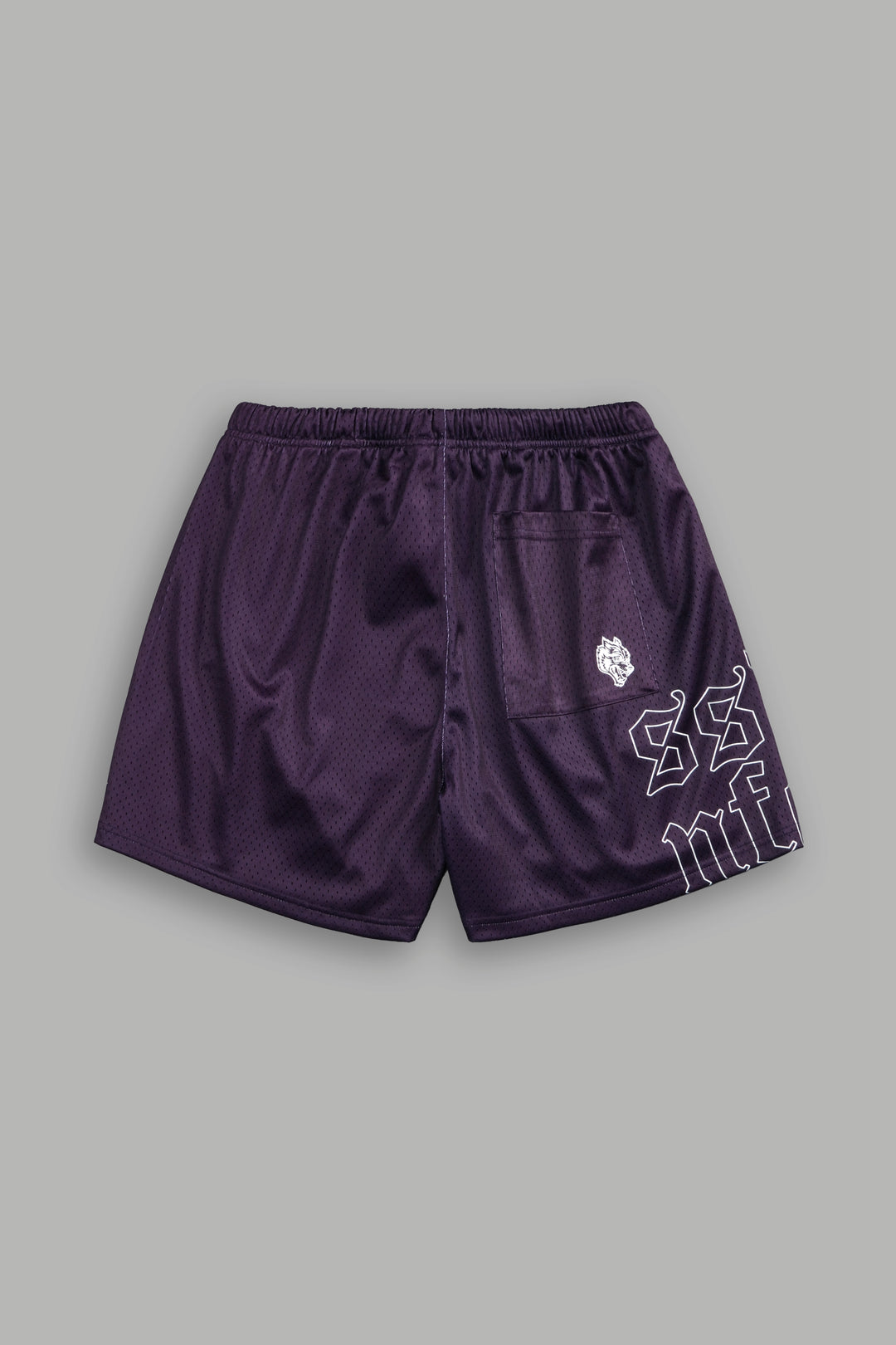 Piledriver Mesh Shorts in Phantom Purple