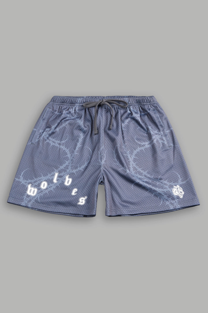 Thorns Frvr Mesh Shorts In Slate Gray