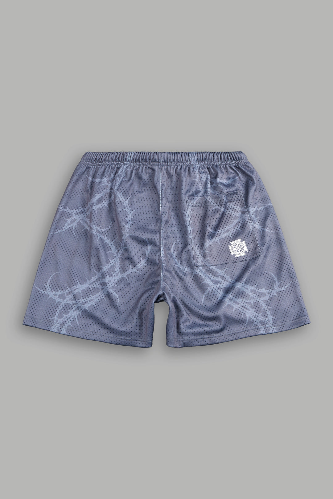Thorns Frvr Mesh Shorts In Slate Gray