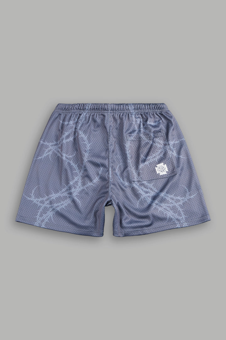 Thorns Frvr Mesh Shorts In Slate Gray