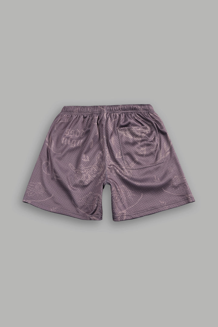 Just Look Up Mesh Shorts in Mauve