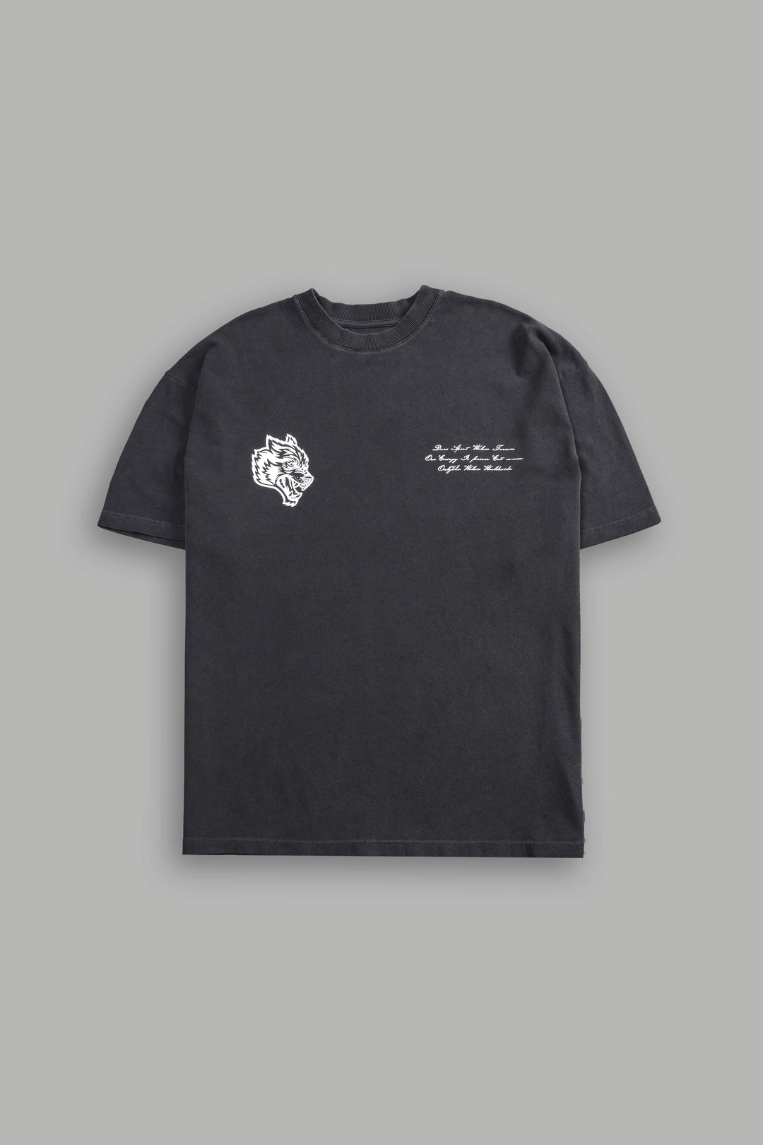 Fear Is My Ally "Premium" Oversized Tee in Wolf Gray