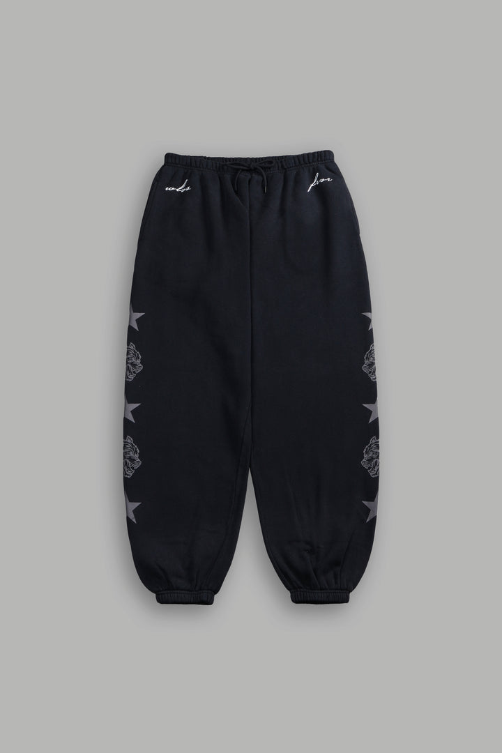 Wolf Star Lightweight Lounger Sweat Pants in Black Drift Wash