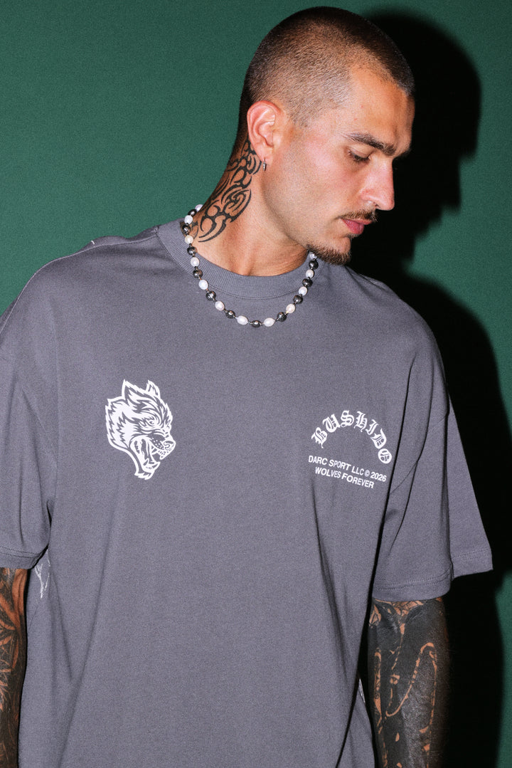 Shutendoji Premium Oversized Tee in Slate Gray