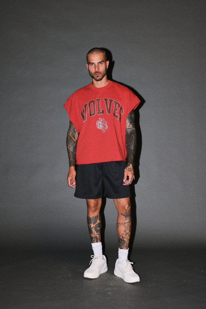 Loyalty Frvr Grunge Cut-Off Tee in Roman Red