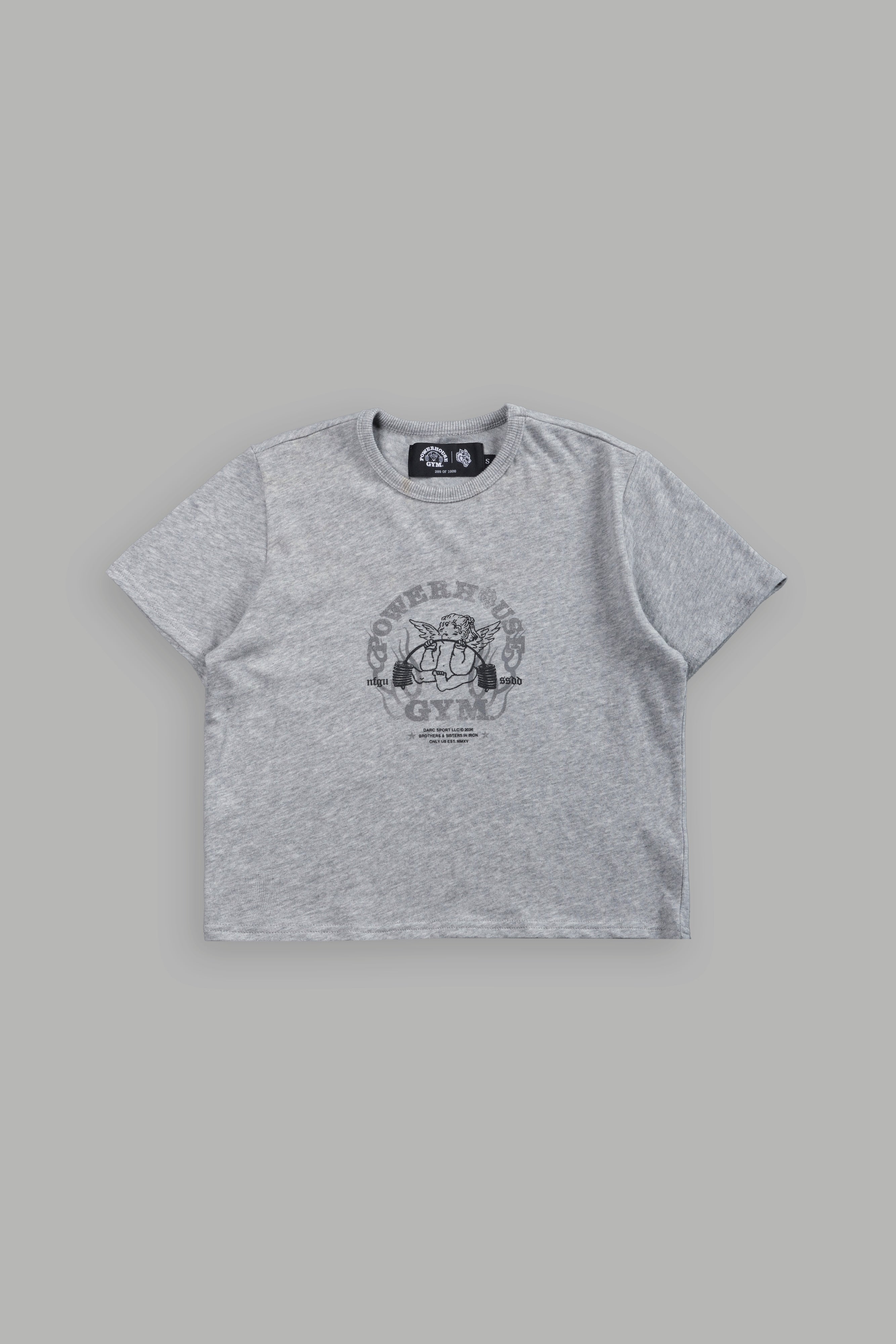 Powerhouse of the Cherub "Timeless" Tee in Light Athletic Gray