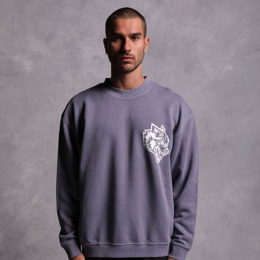 House Of Wolves "Vintage Cornell" Crewneck in Norse Purple