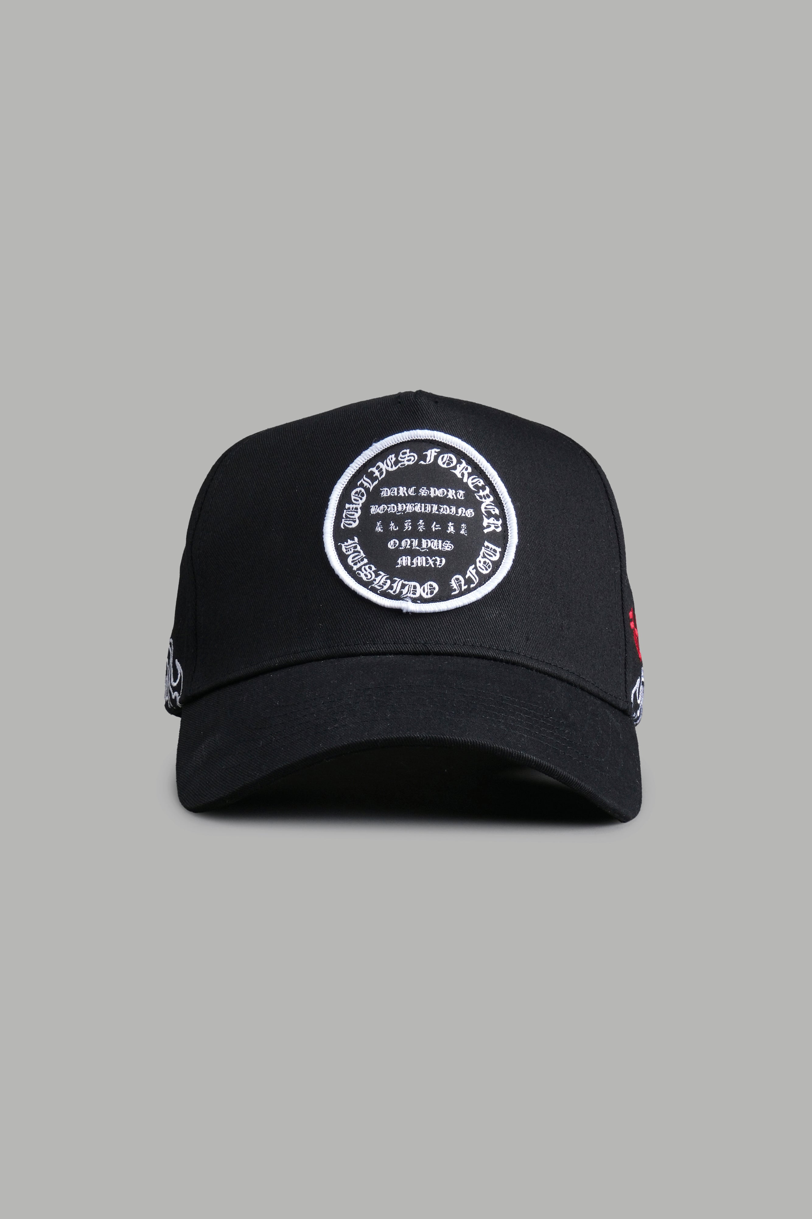トレーニング用品 darcsport I AM THE STORM EVERYDAY HOODI Collections – DarcSport