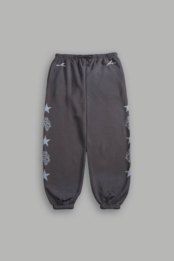 Wolf Star Lightweight Lounger Sweat Pants in Wolf Gray Drift Wash