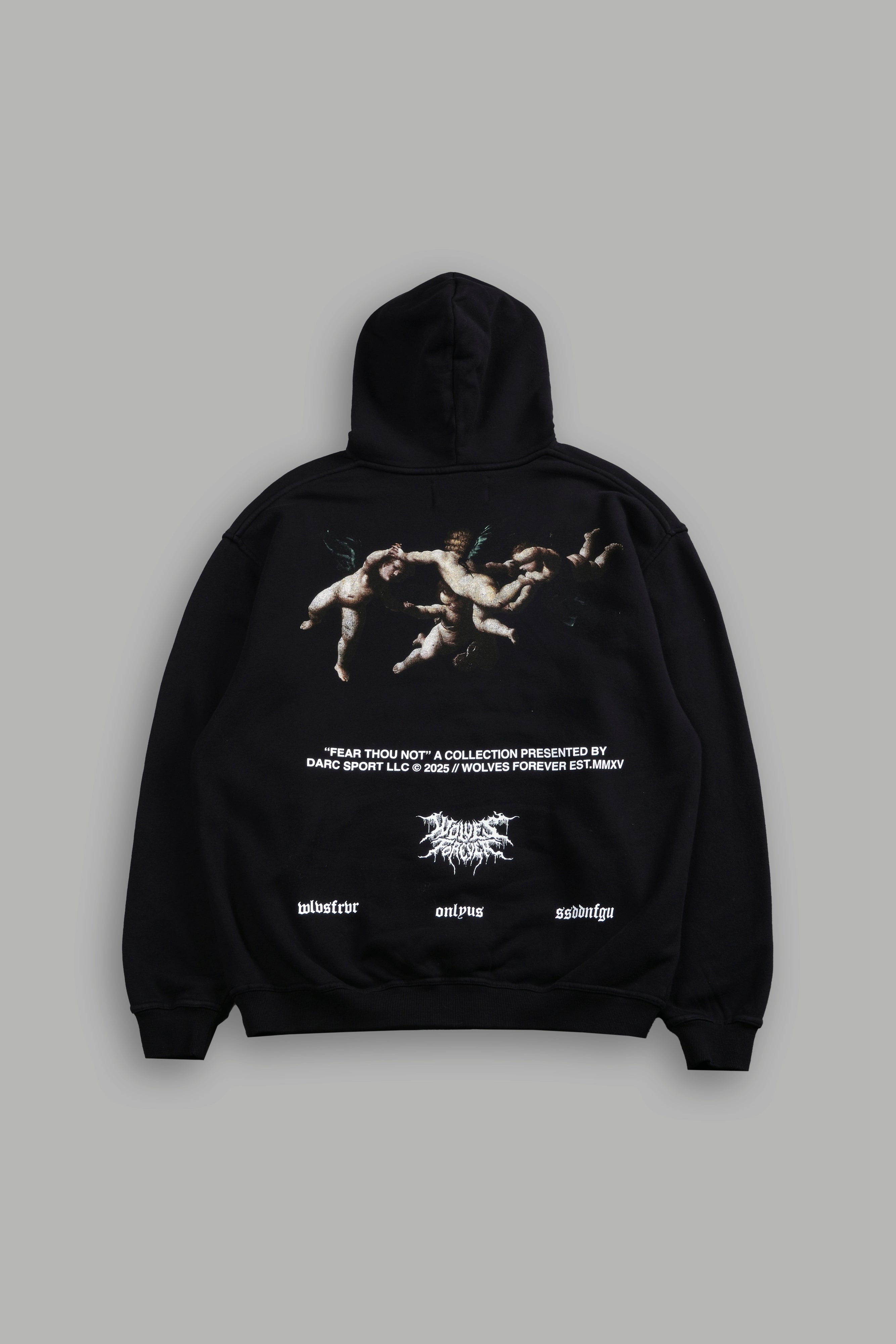 Darc Sport FEAR THOU NOT EVERYDAY パーカ xl Up Above 