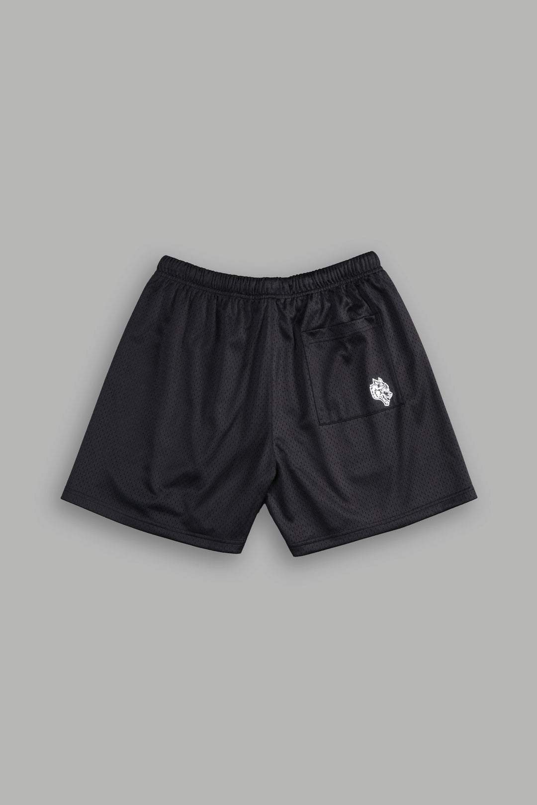 NFGU Powerhouse Mesh Shorts in Black