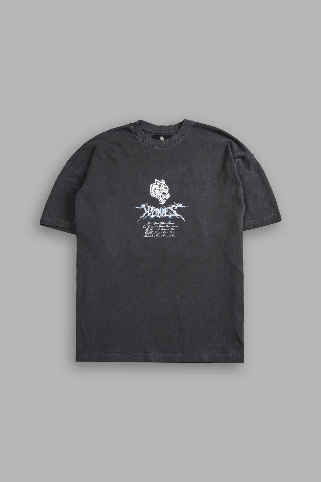 Iron Moth "Premium" Oversized Tee in Wolf Gray