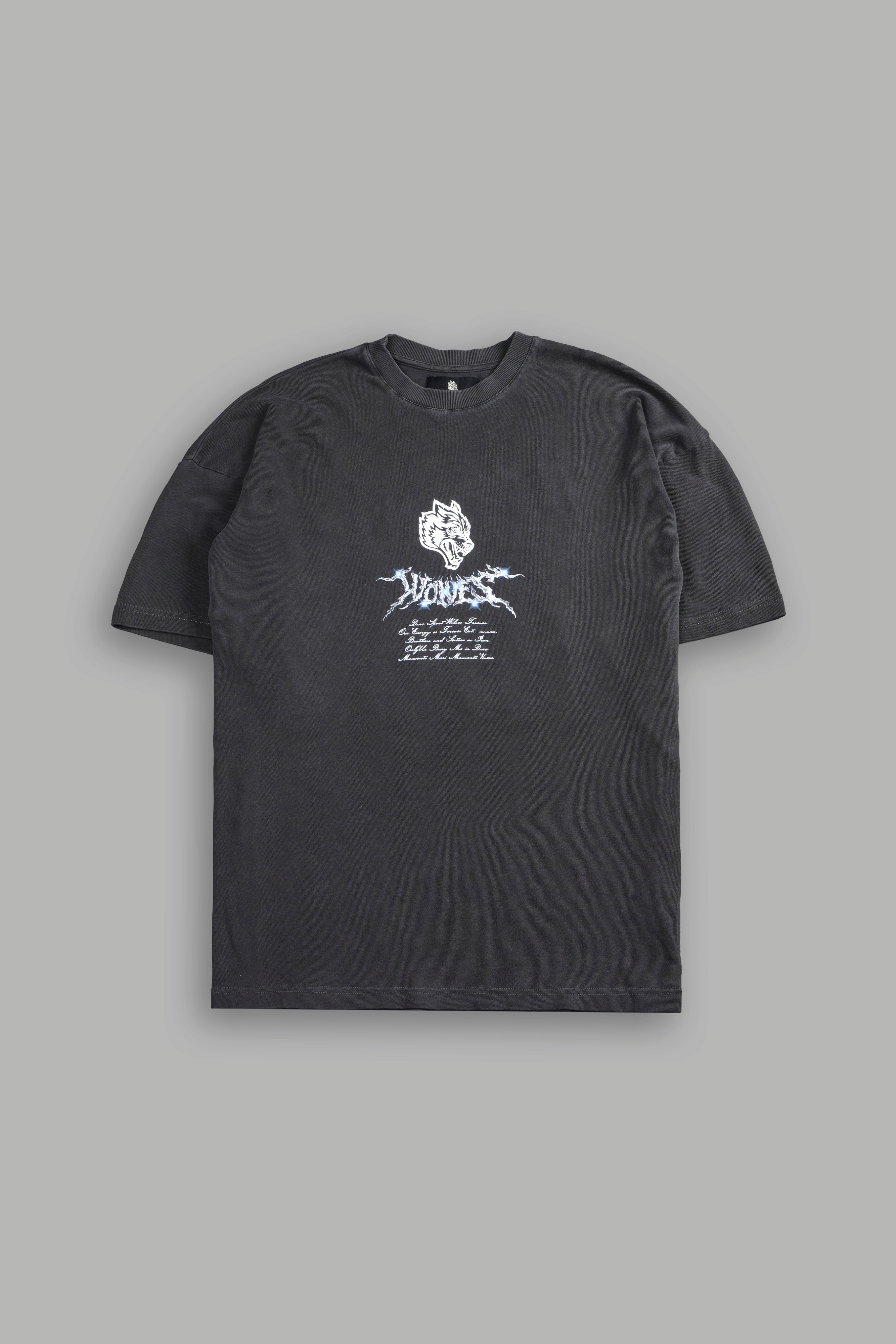 Iron Moth "Premium" Oversized Tee in Wolf Gray