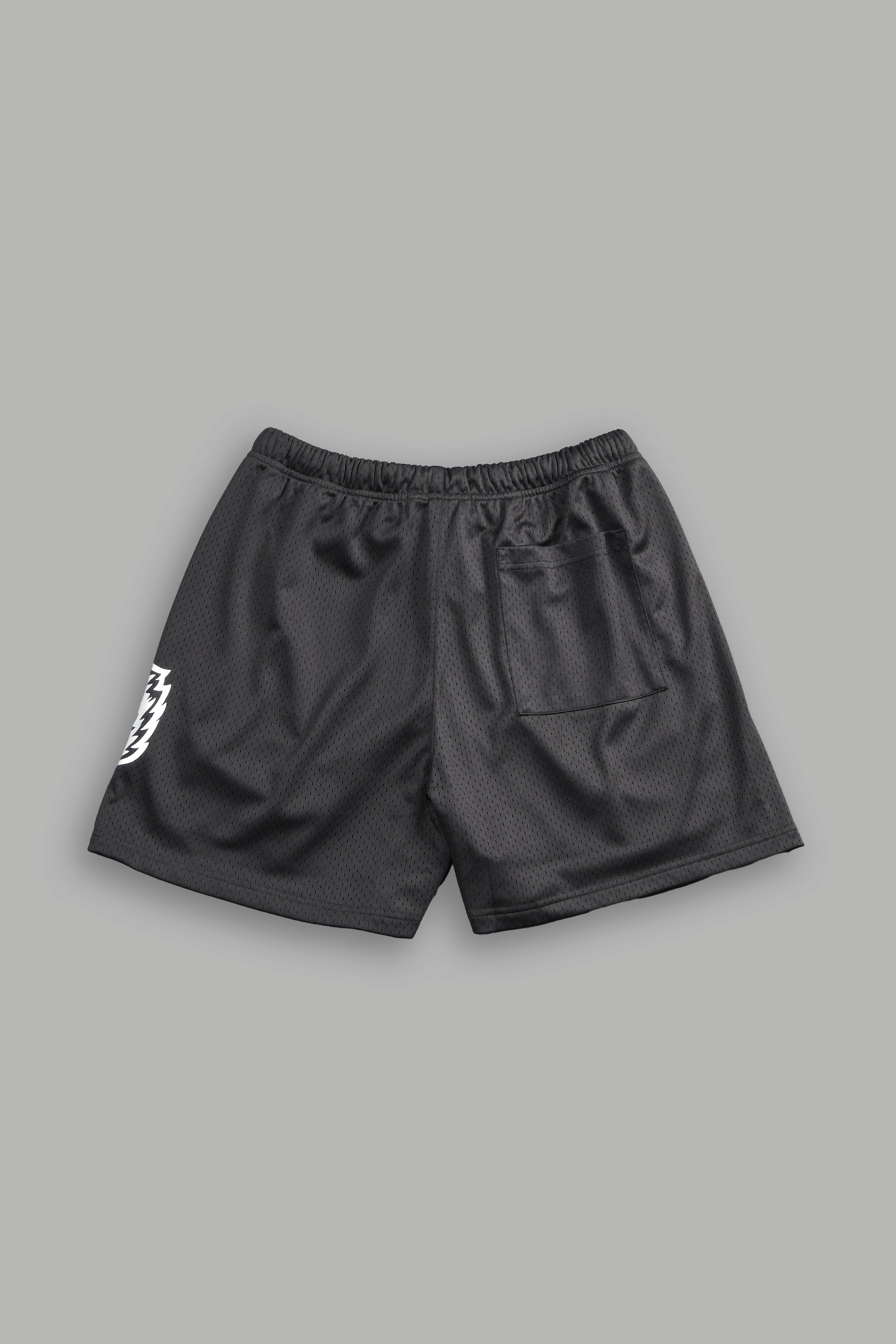 Vaughn Mesh Shorts in Wolf Gray