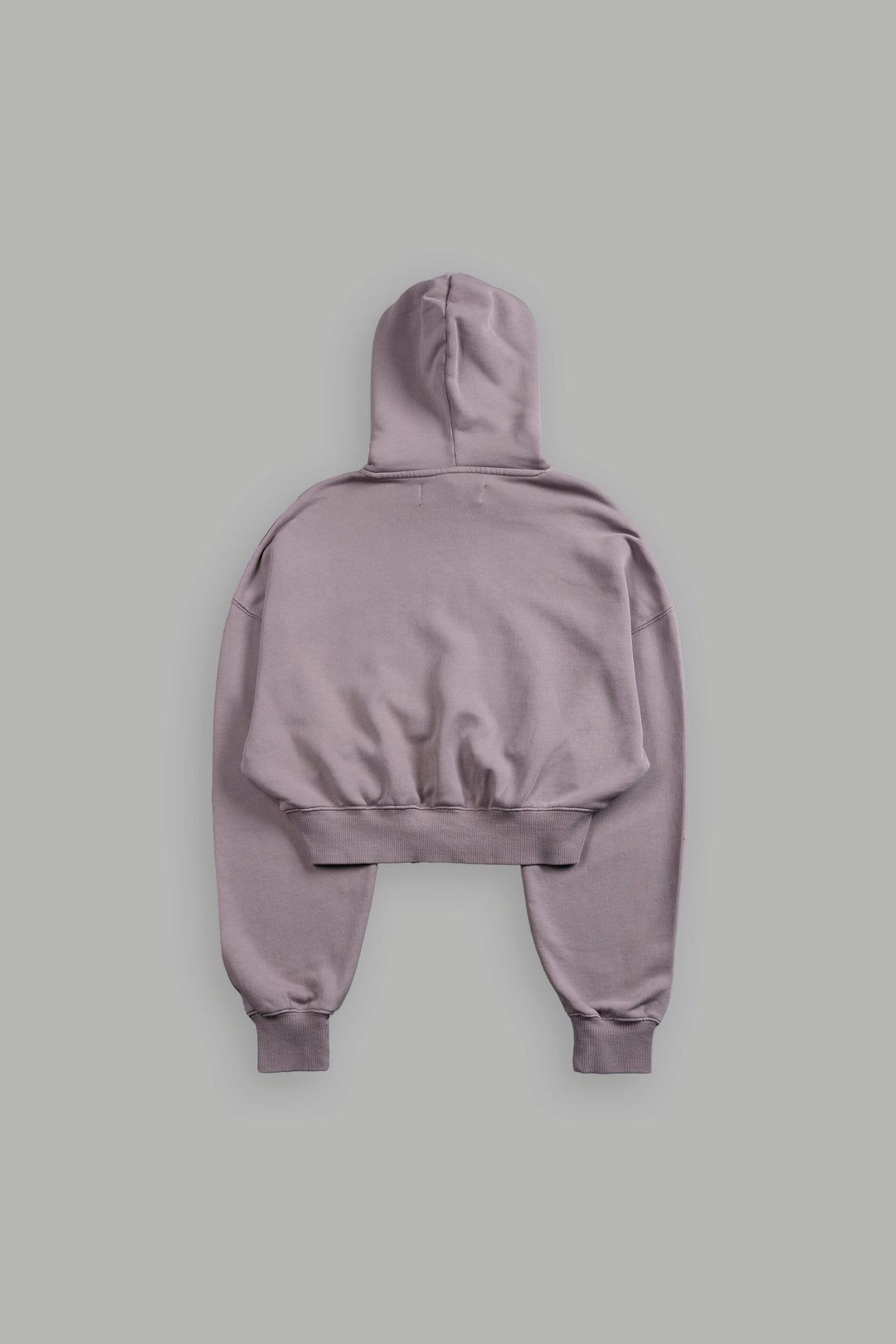 Icon "Ava" Hoodie in Pale Gray