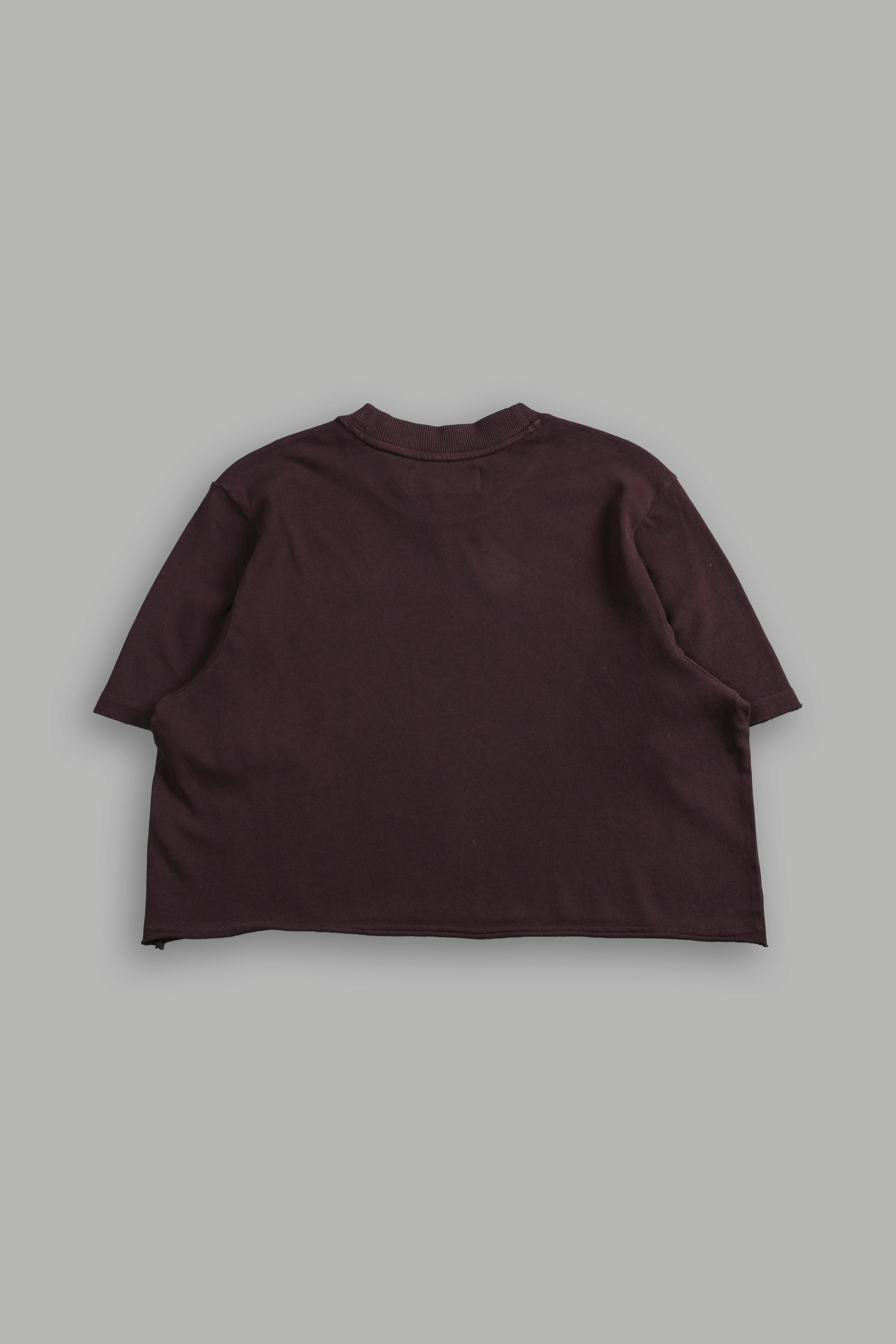 Drip Hesh Distressed Oversized (Cropped) Tee in Darc Garnet