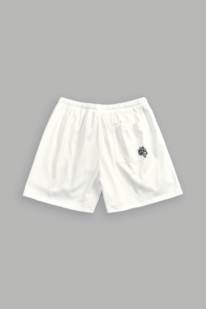 NFGU Powerhouse Mesh Shorts in Cream