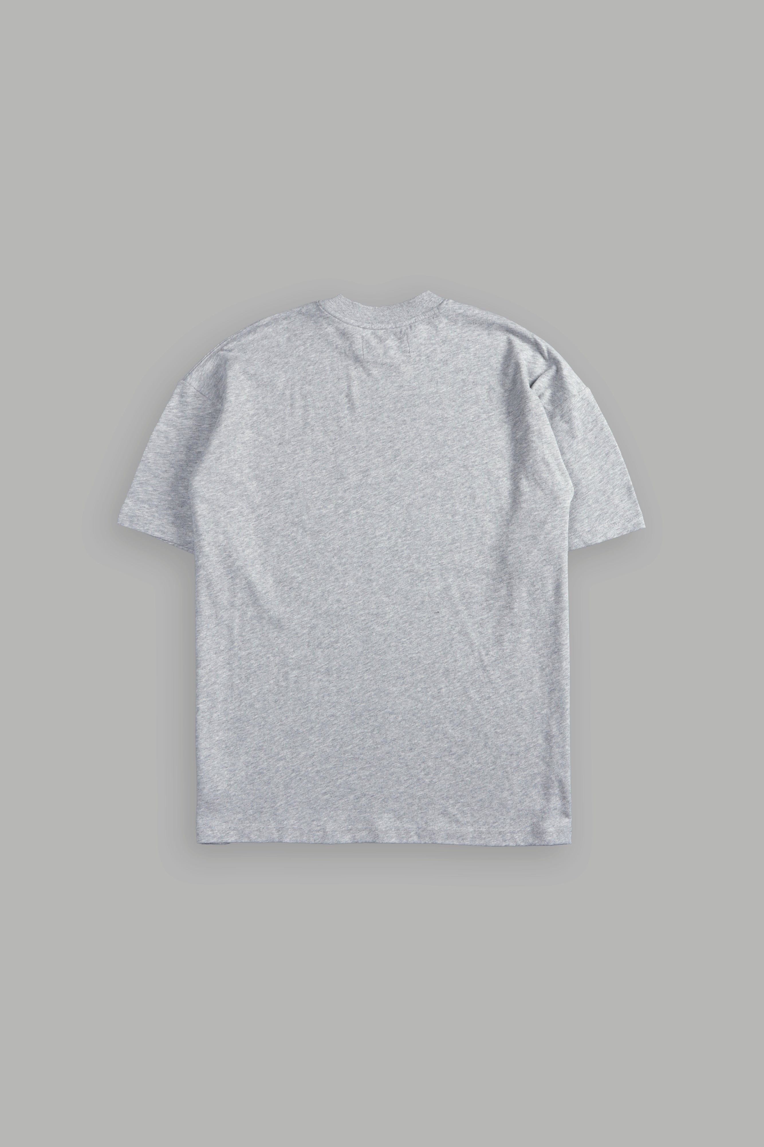 SSDDNFGU FRVR "Premium" Oversized Tee in Light Athletic Gray