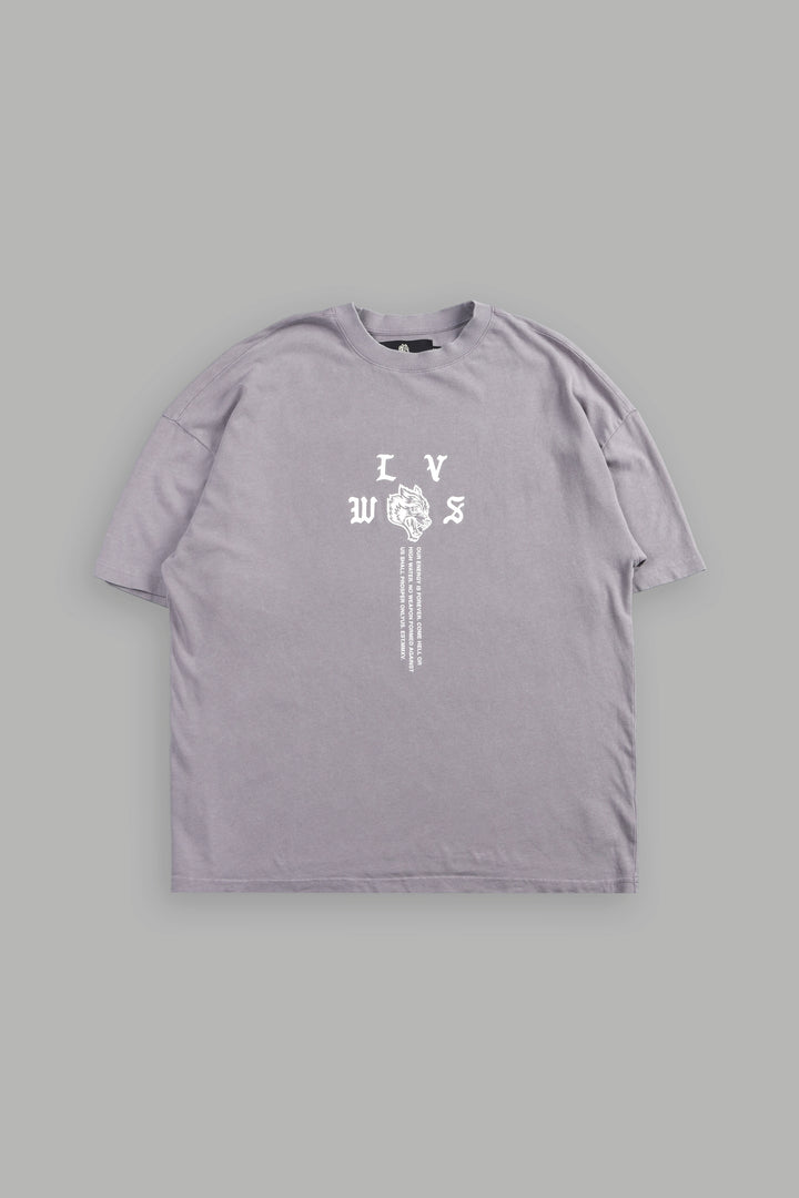 Dama De Las Rosas Premium Oversized Tee In Pale Gray