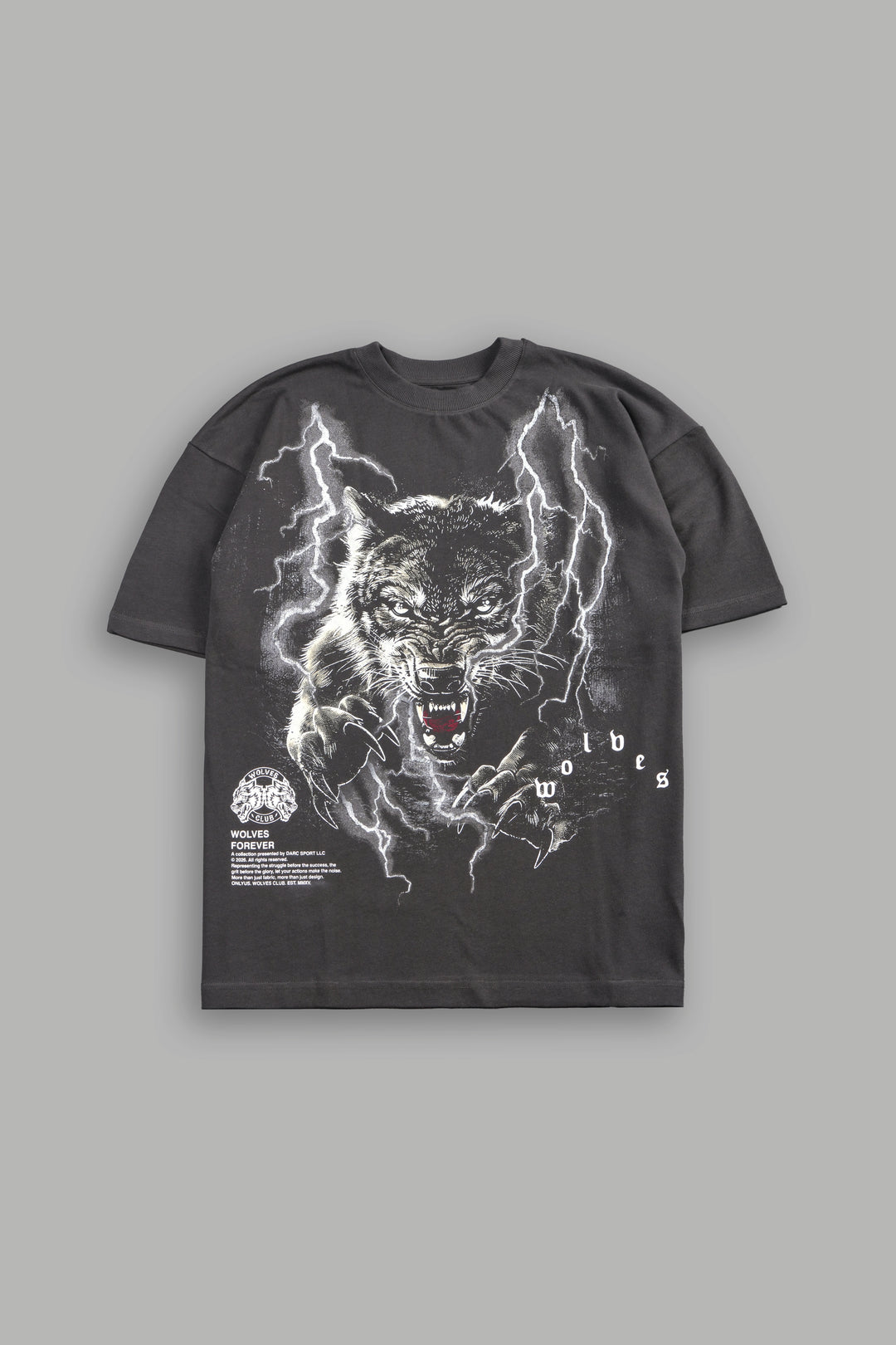 Trust Your Journey Premium Oversized Tee in Wolf Gray