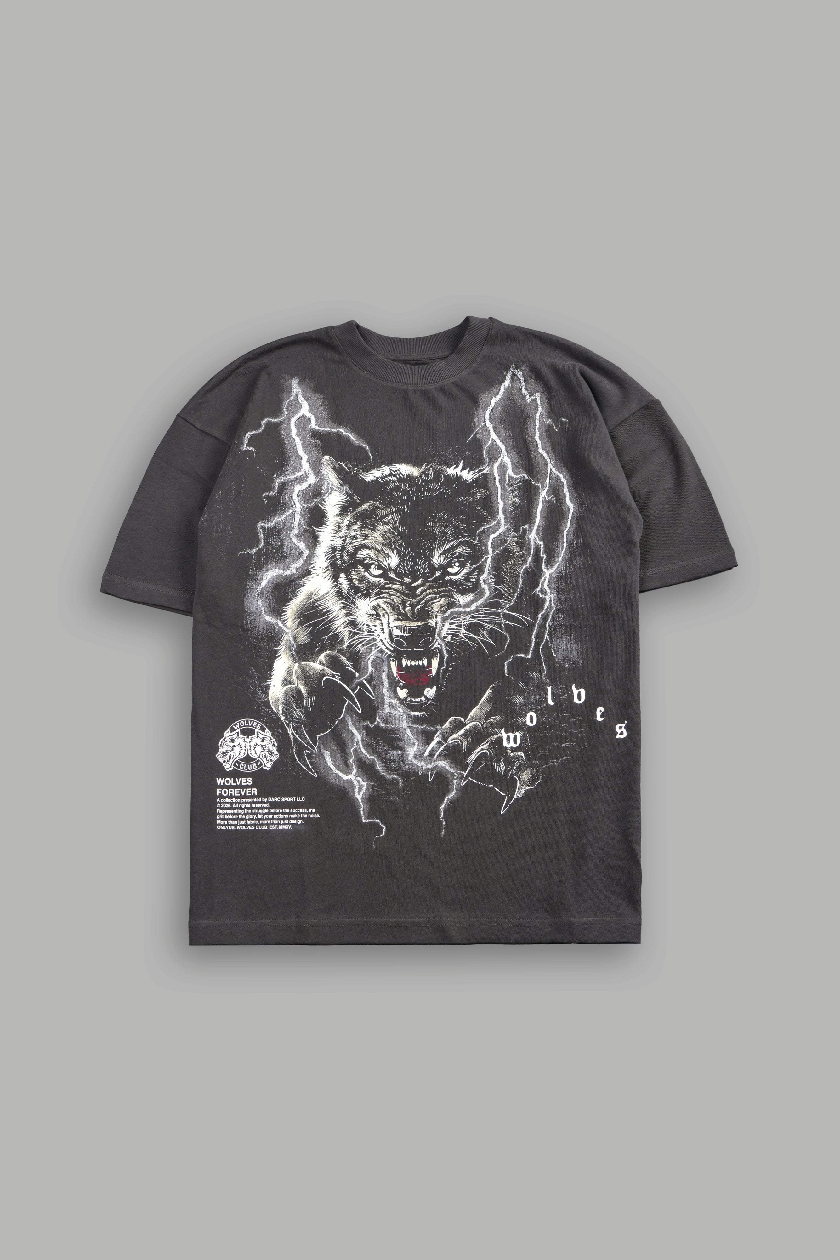 Trust Your Journey Premium Oversized Tee in Wolf Gray