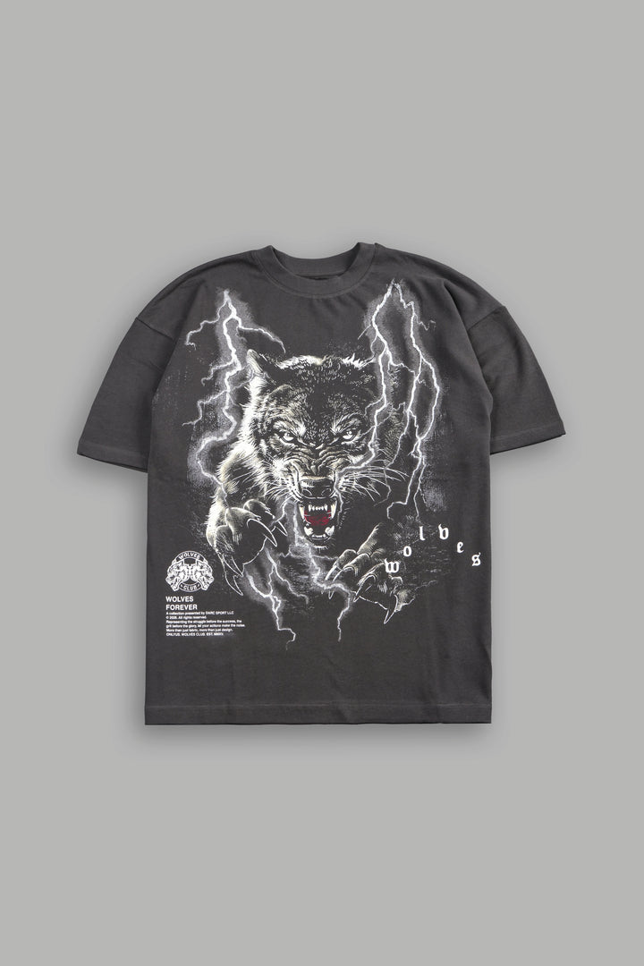 Trust Your Journey Premium Oversized Tee in Wolf Gray