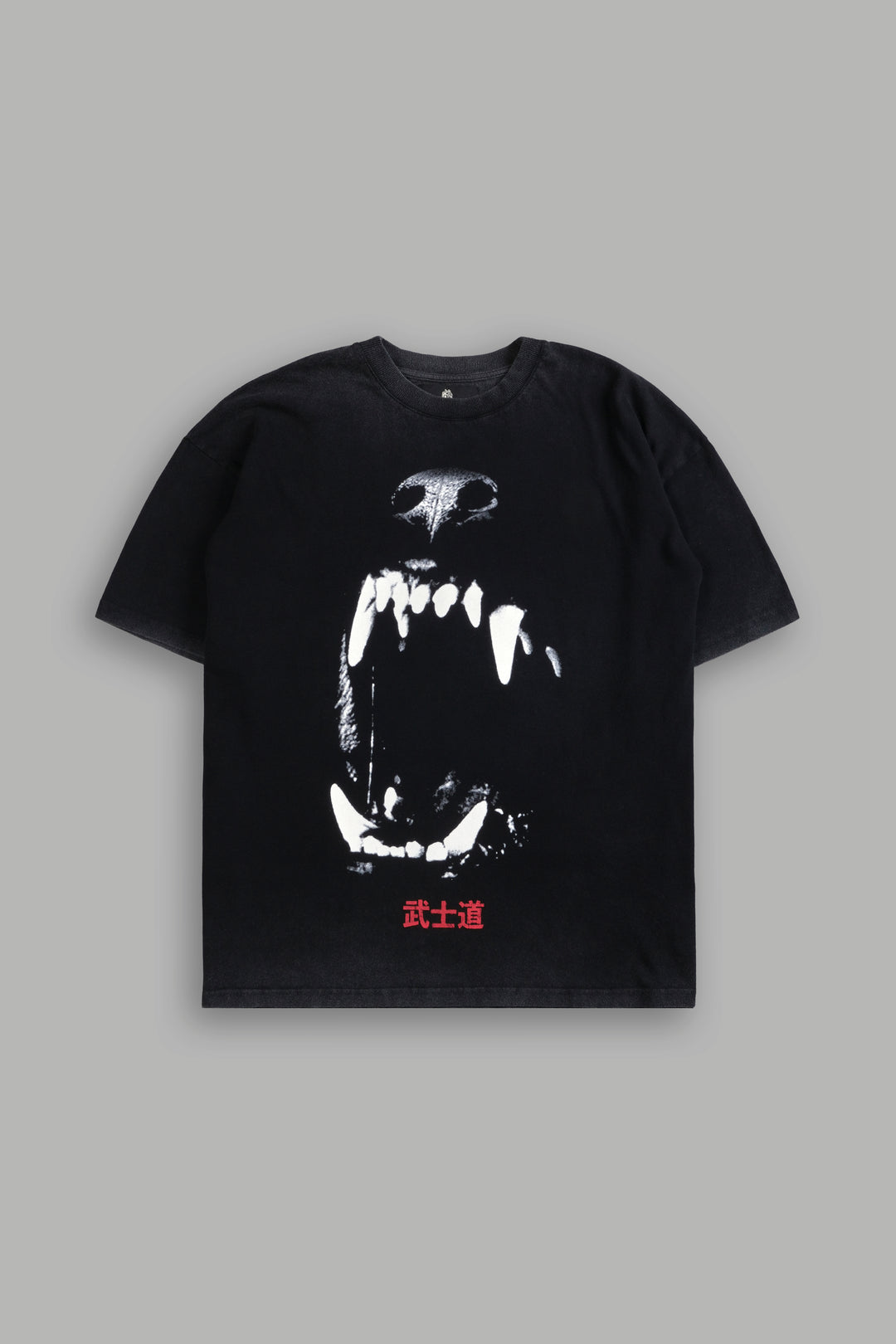 Blood Thirsty Kanji "Premium" Oversized Tee in Black