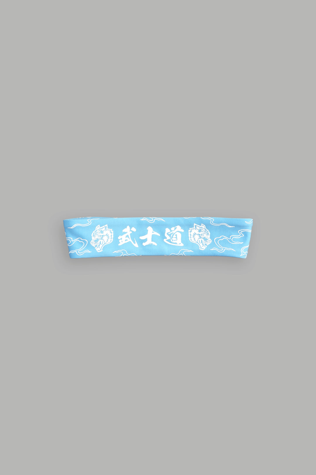 Eternal Flame Energy Headband in Blue Crane