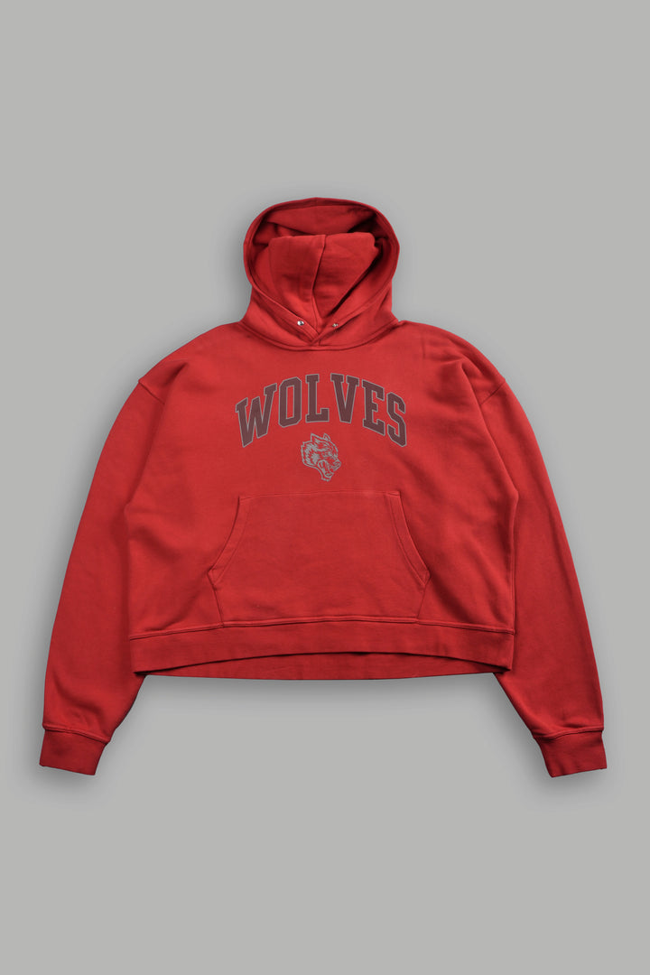 Loyalty Frvr Box Cut Pierce Hoodie in Roman Red