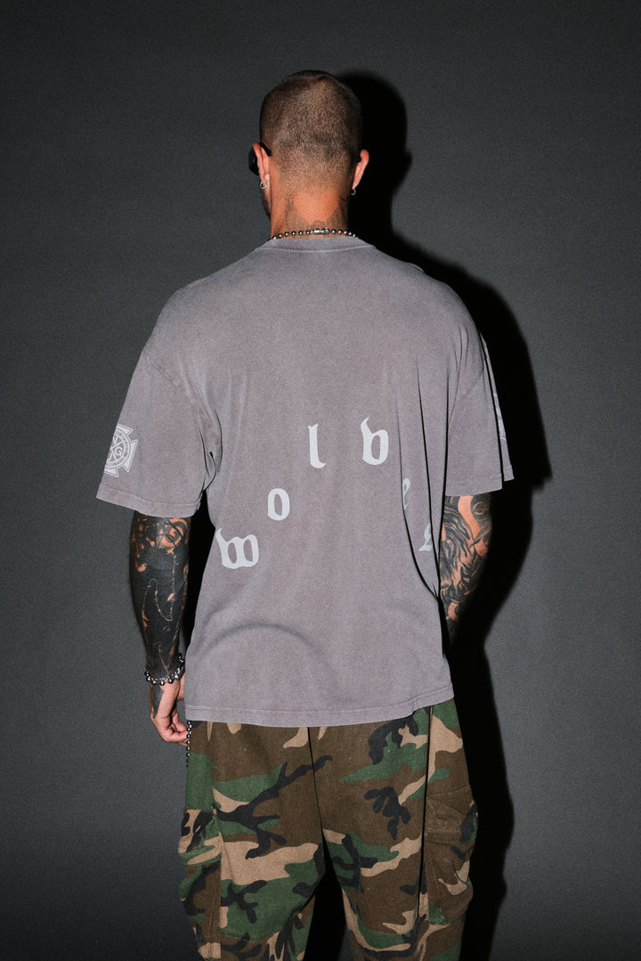 Scorpion Fire Premium Oversized Tee in Slate Gray