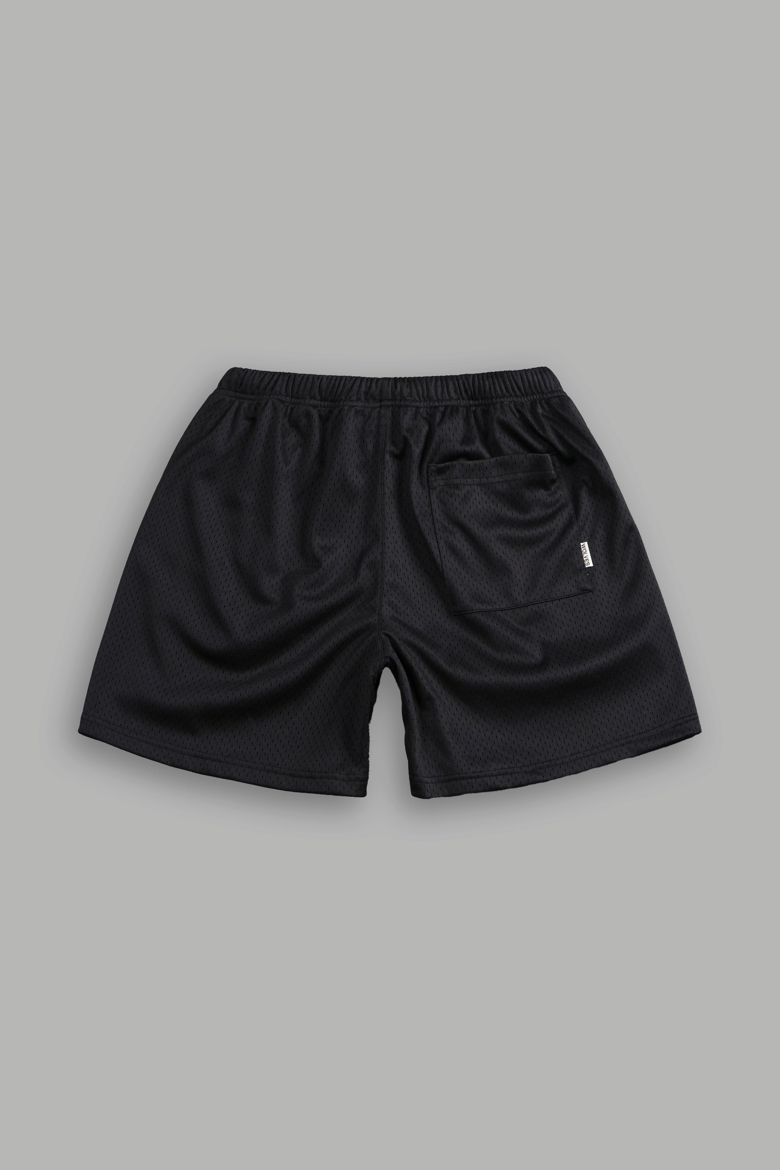 Dual Mesh Shorts in Black – DarcSport