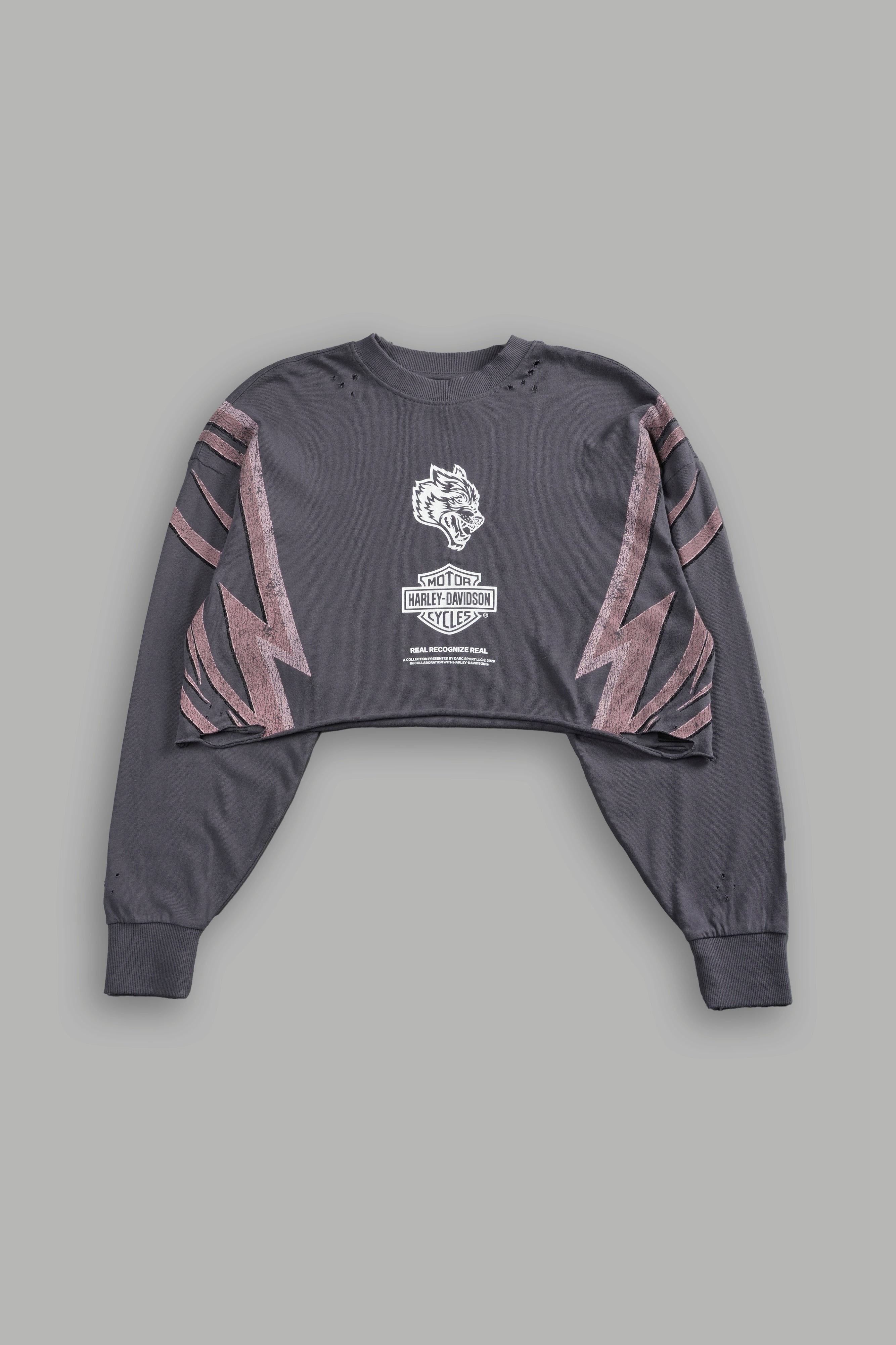 Real Recognize Real Distressed Oversized Cropped L/S Tee in Slate Gray