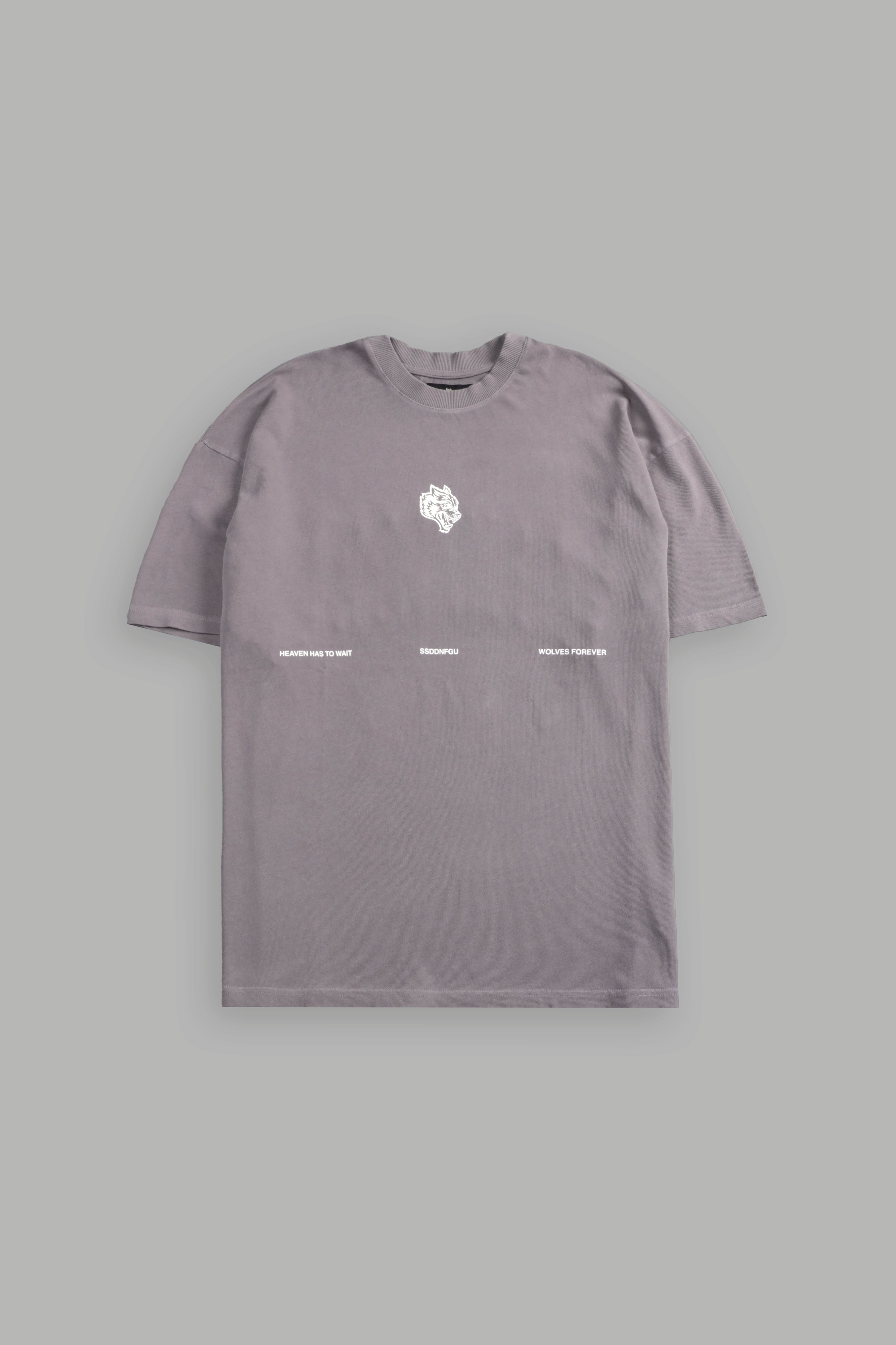 Death Moth Forever "Premium" Oversized Tee in Pale Gray