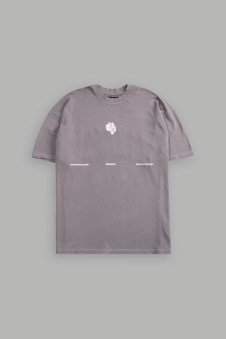 Death Moth Forever "Premium" Oversized Tee in Pale Gray
