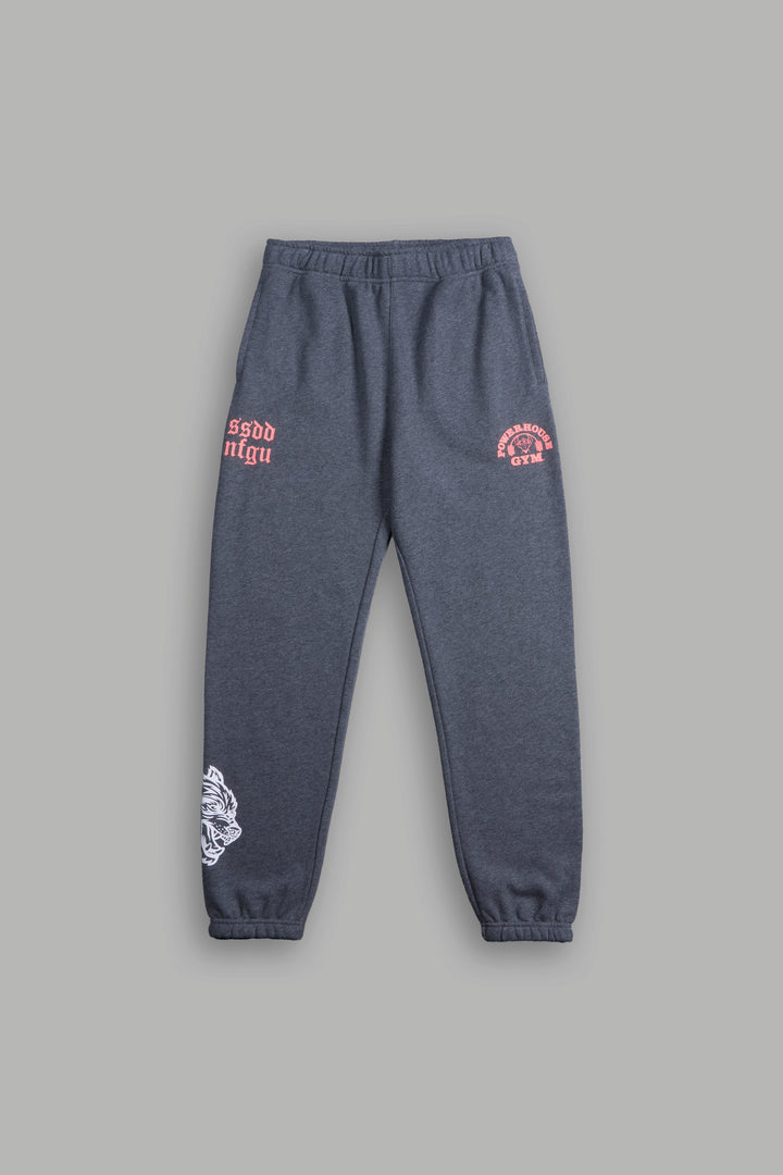 Powerhouse Wolves Post Lounge Sweats in Darc Heather Gray