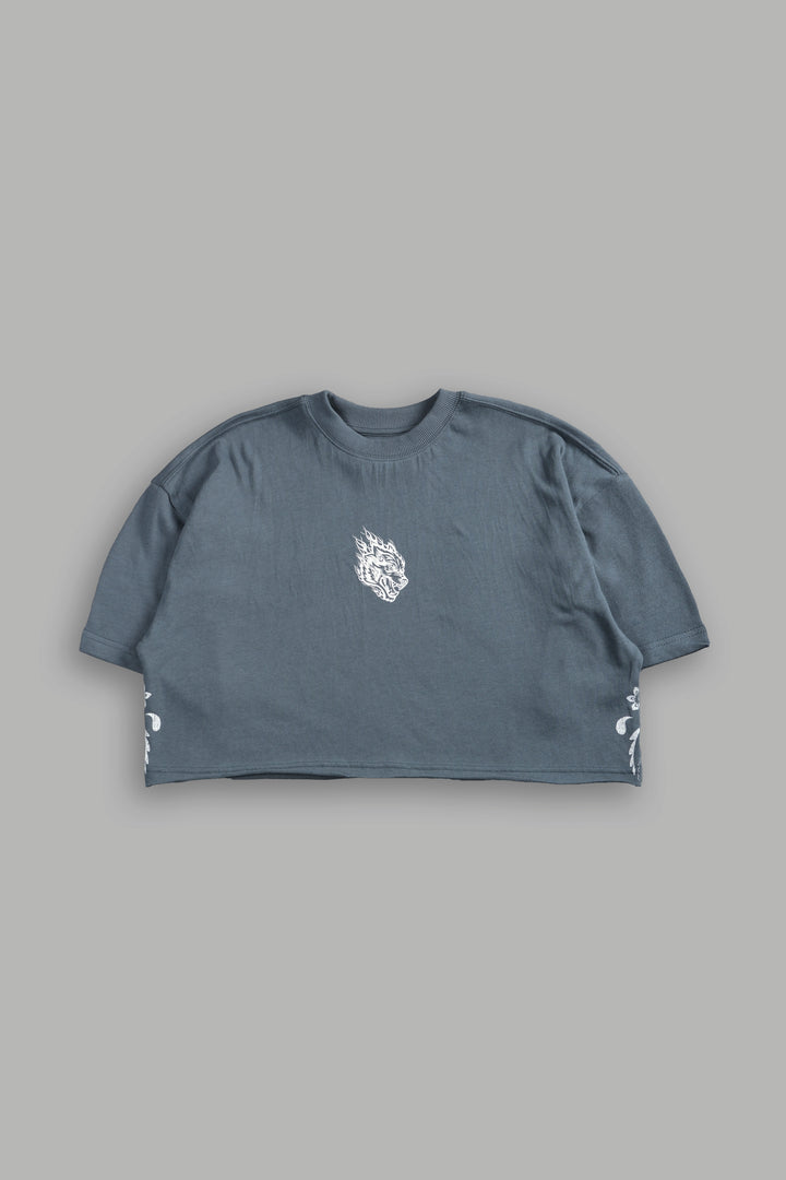 Faded Paisley Premium Oversized Cropped Tee in Greek Stone