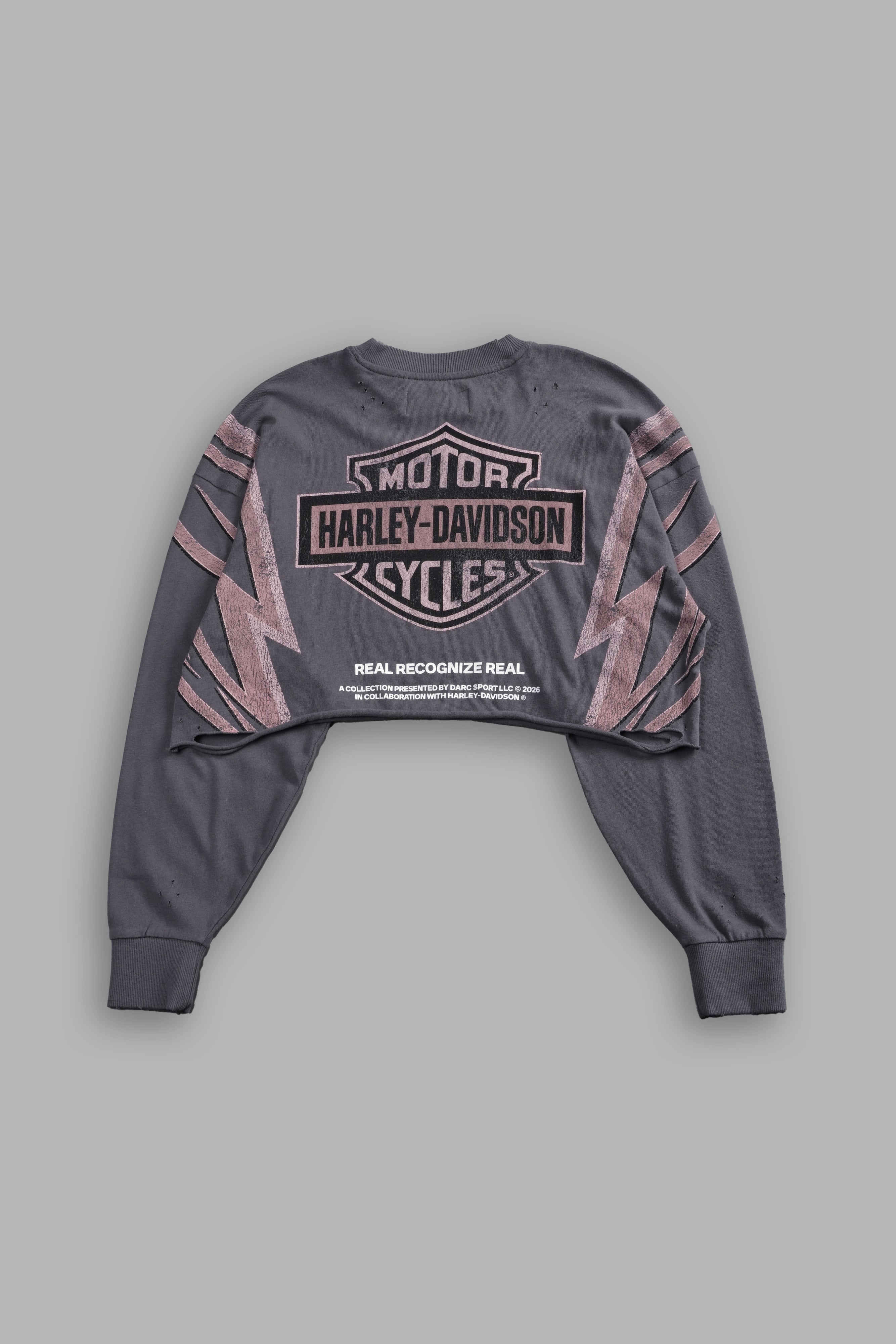 Real Recognize Real Distressed Oversized Cropped L/S Tee in Slate Gray