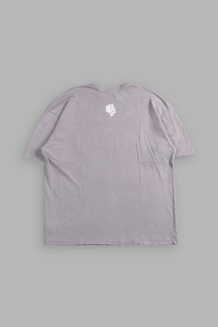 Ds Corazon Premium Oversized Tee In Pale Gray