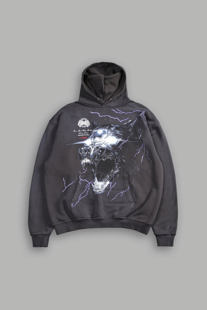 Eye of the Beast "Pierce" Hoodie in Wolf Gray Drift Wash