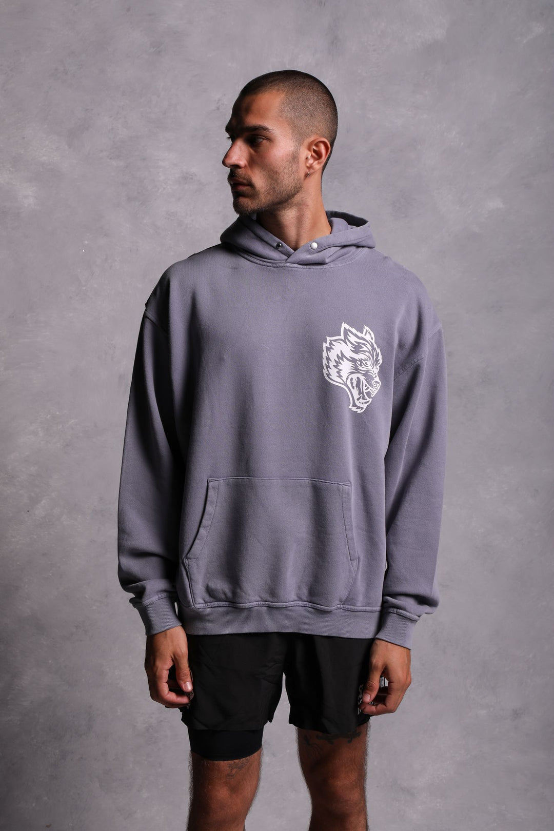 House Of Wolves "Vintage Cornell" Hoodie in Norse Purple
