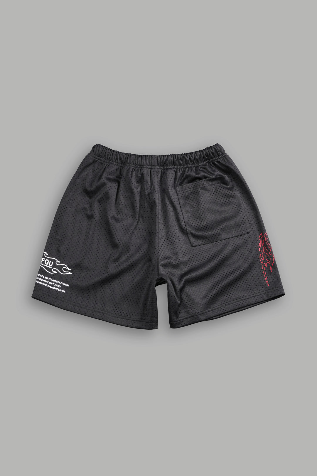 Shadow Hesh Mesh Shorts in Wolf Gray
