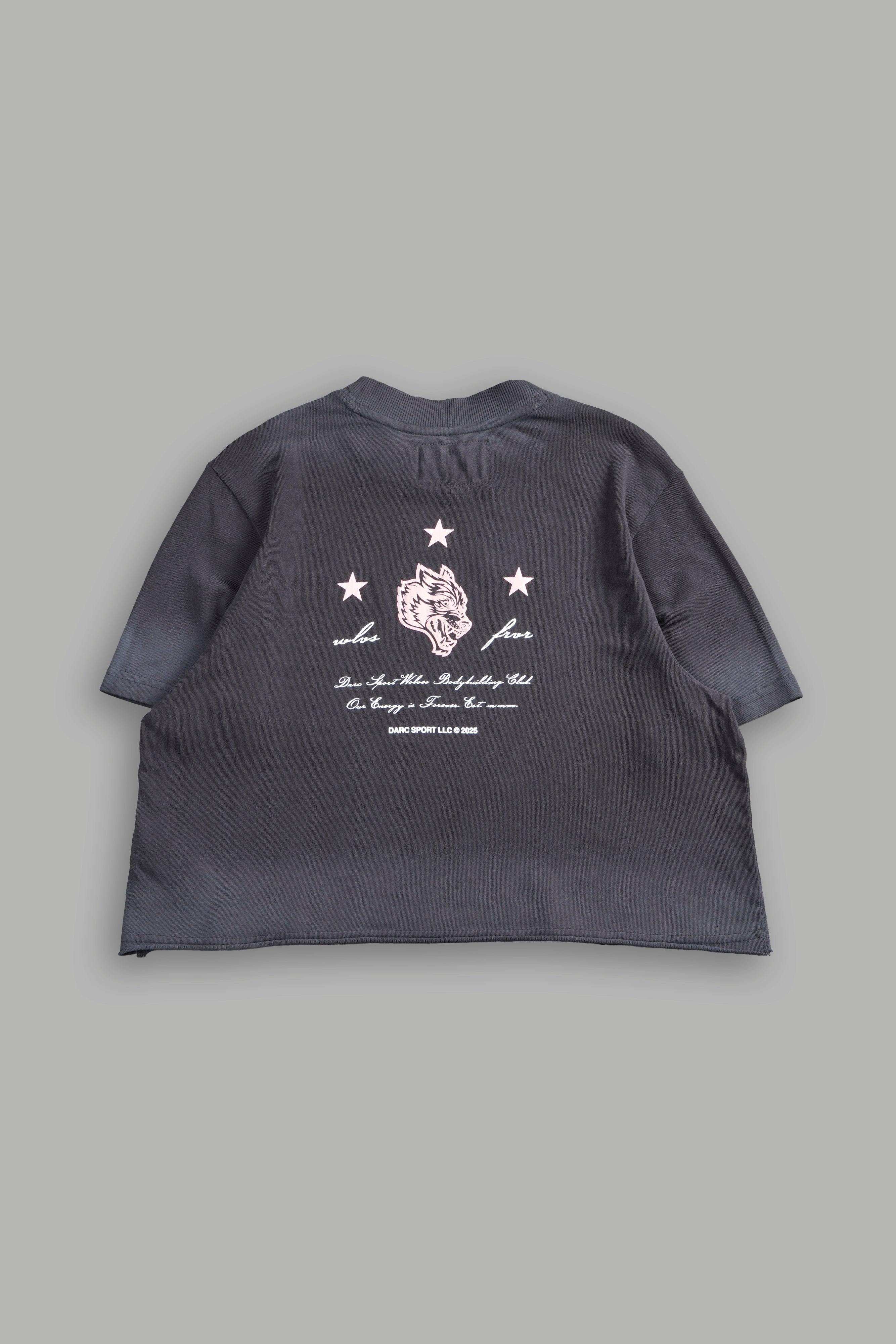 She's a Star "Premium" Oversized Cropped Tee in Wolf Gray Drift Wash