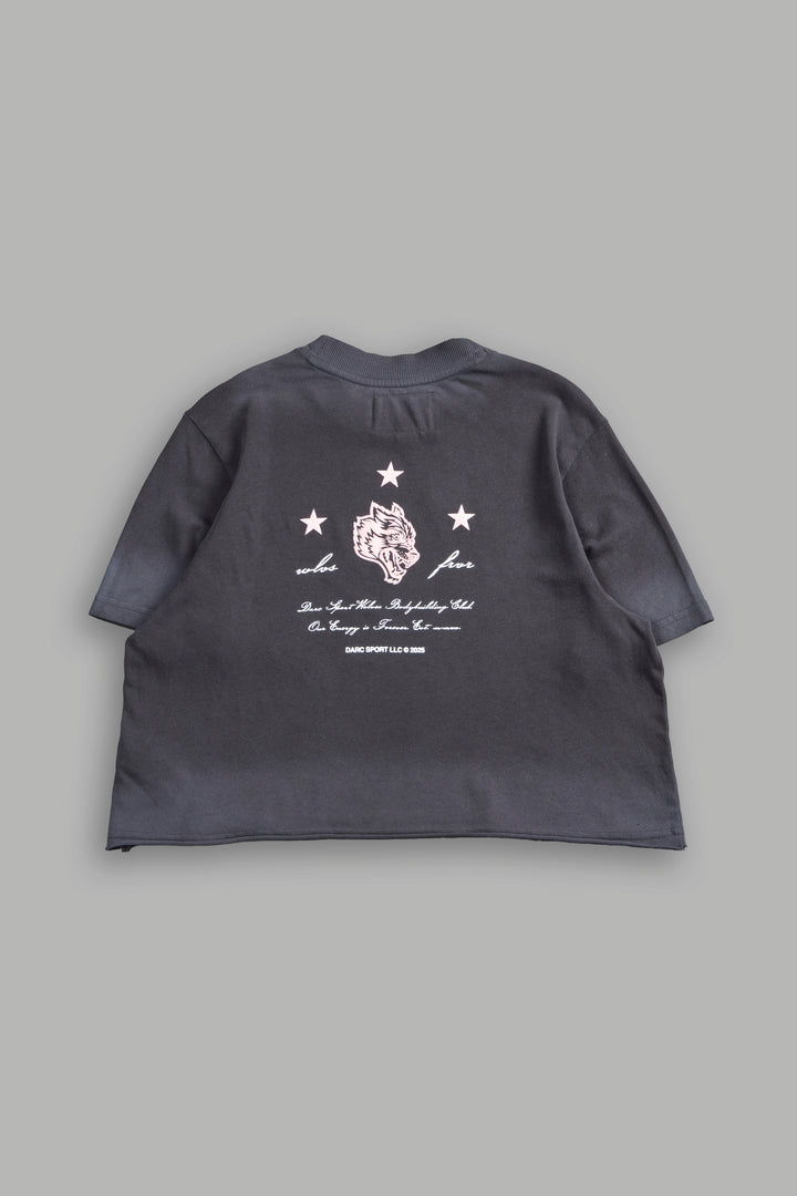 She's a Star "Premium" Oversized Cropped Tee in Wolf Gray Drift Wash