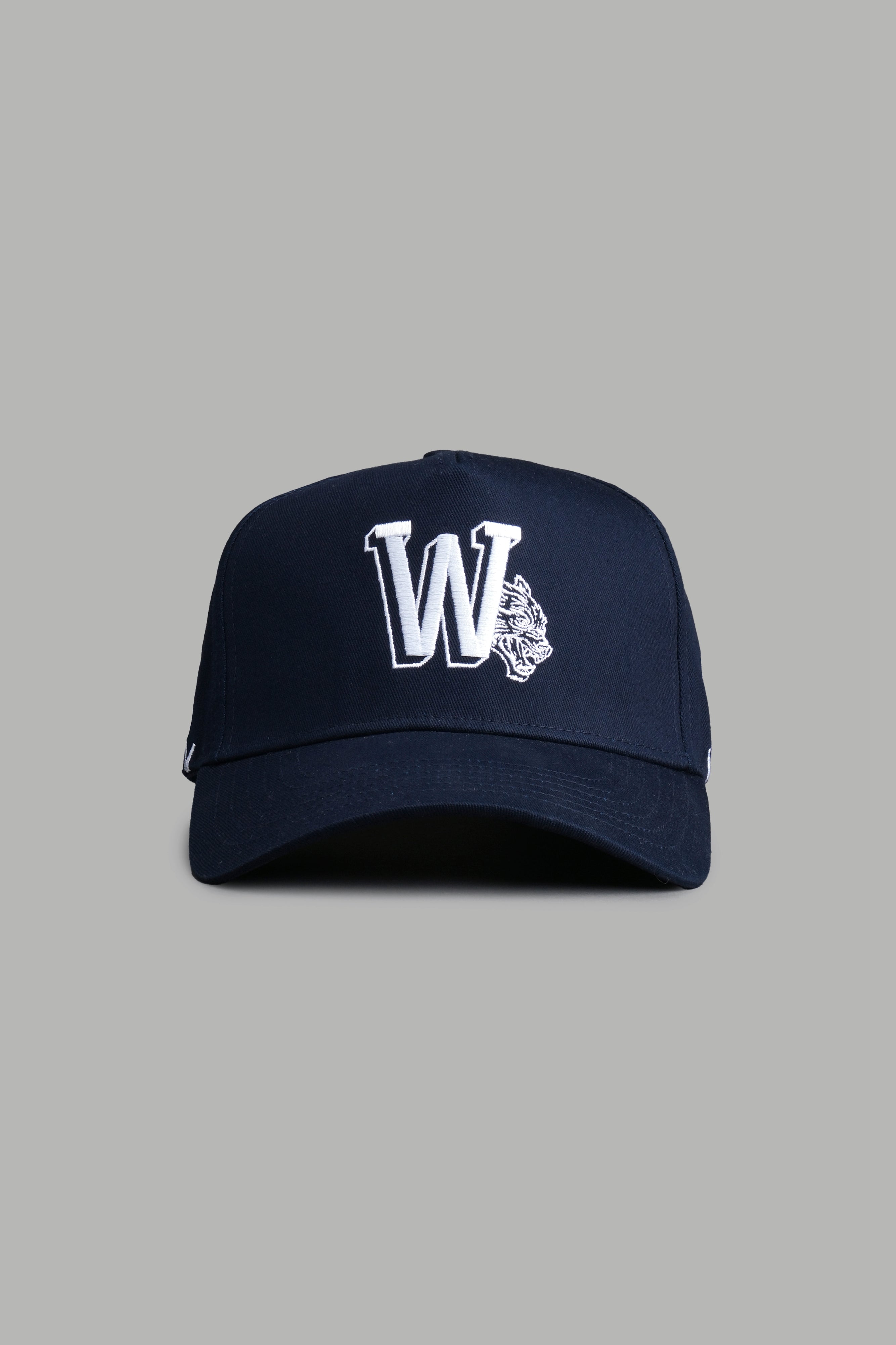 Our Flame 5 Panel Hat in Darc Blue
