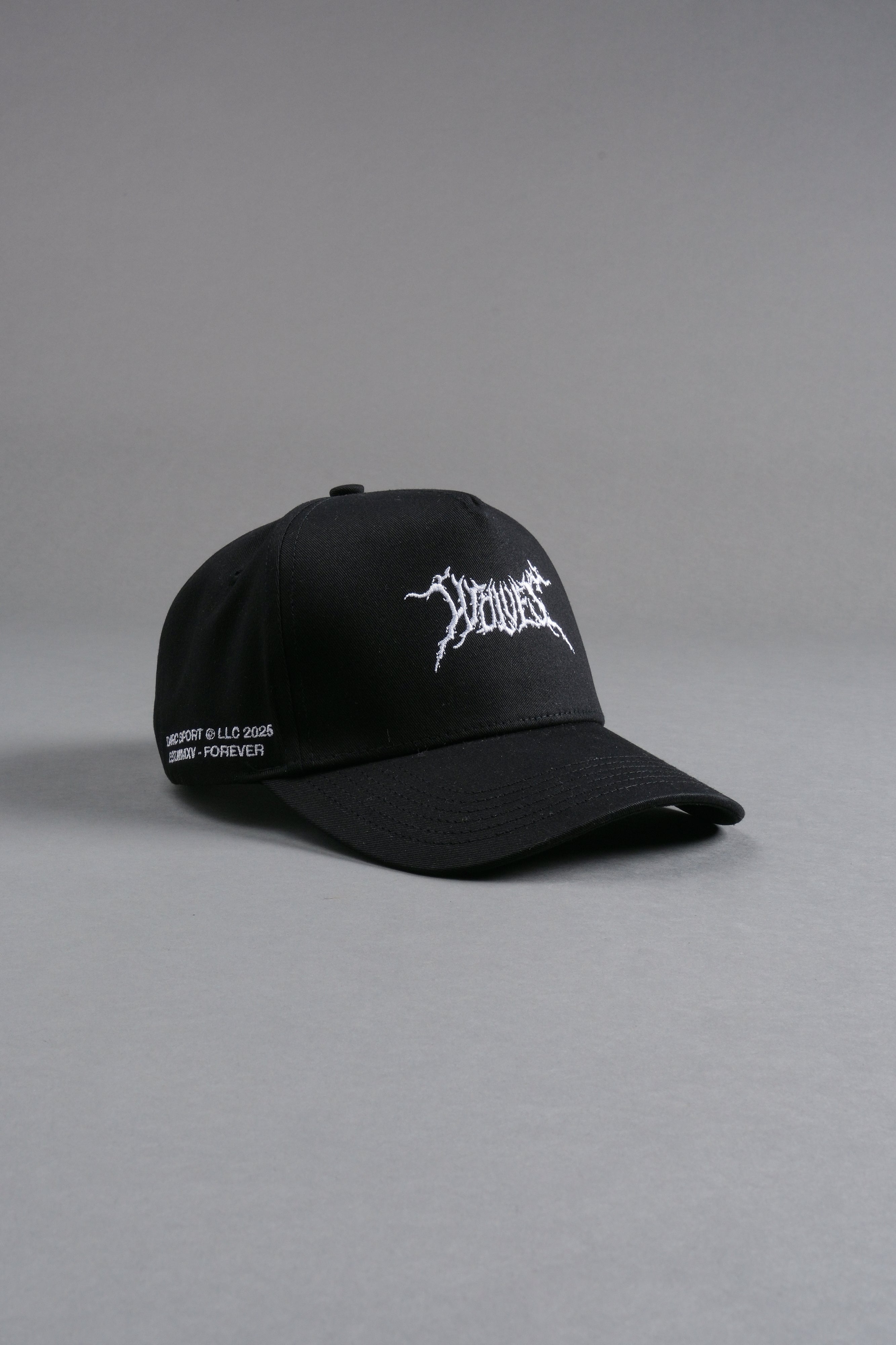 Blood & Iron 5 Panel Hat in Black