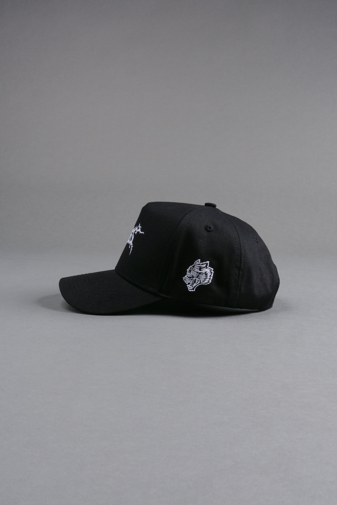 Blood & Iron 5 Panel Hat in Black
