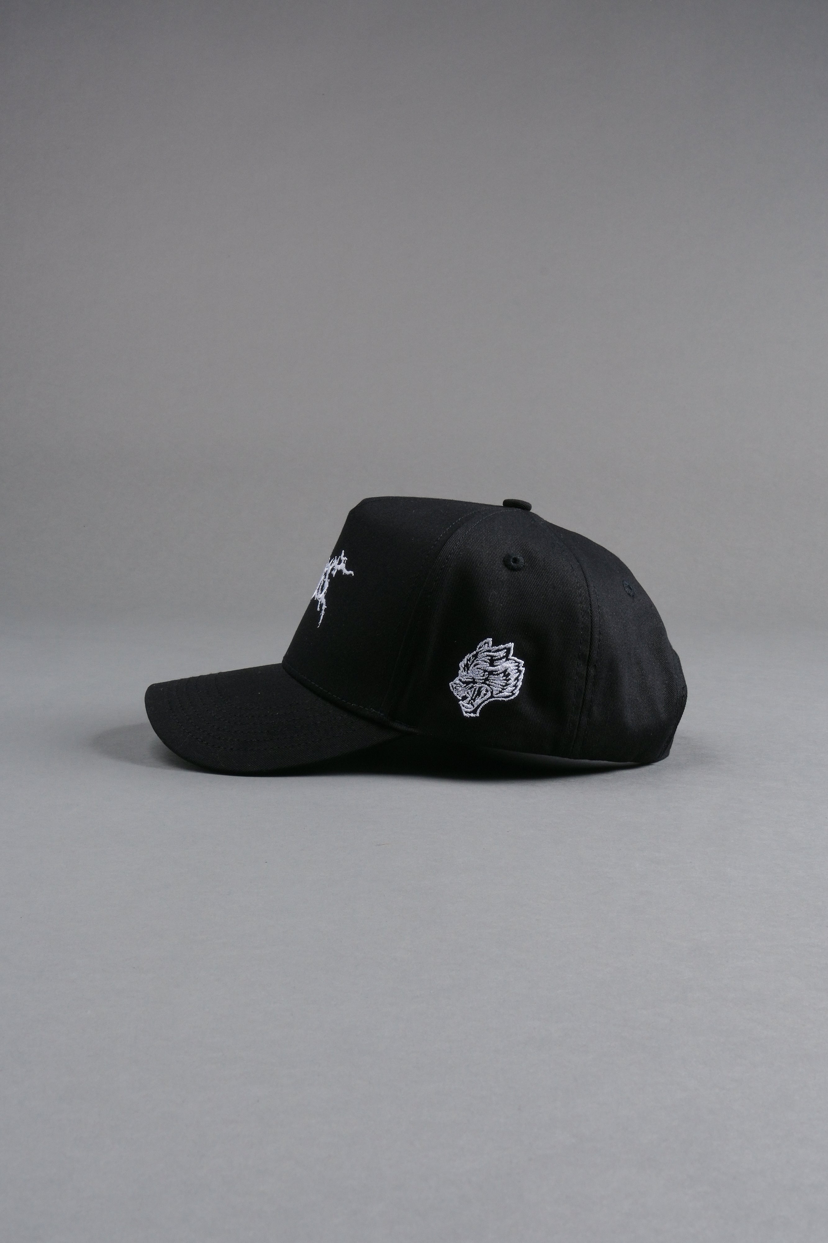 Blood & Iron 5 Panel Hat in Black